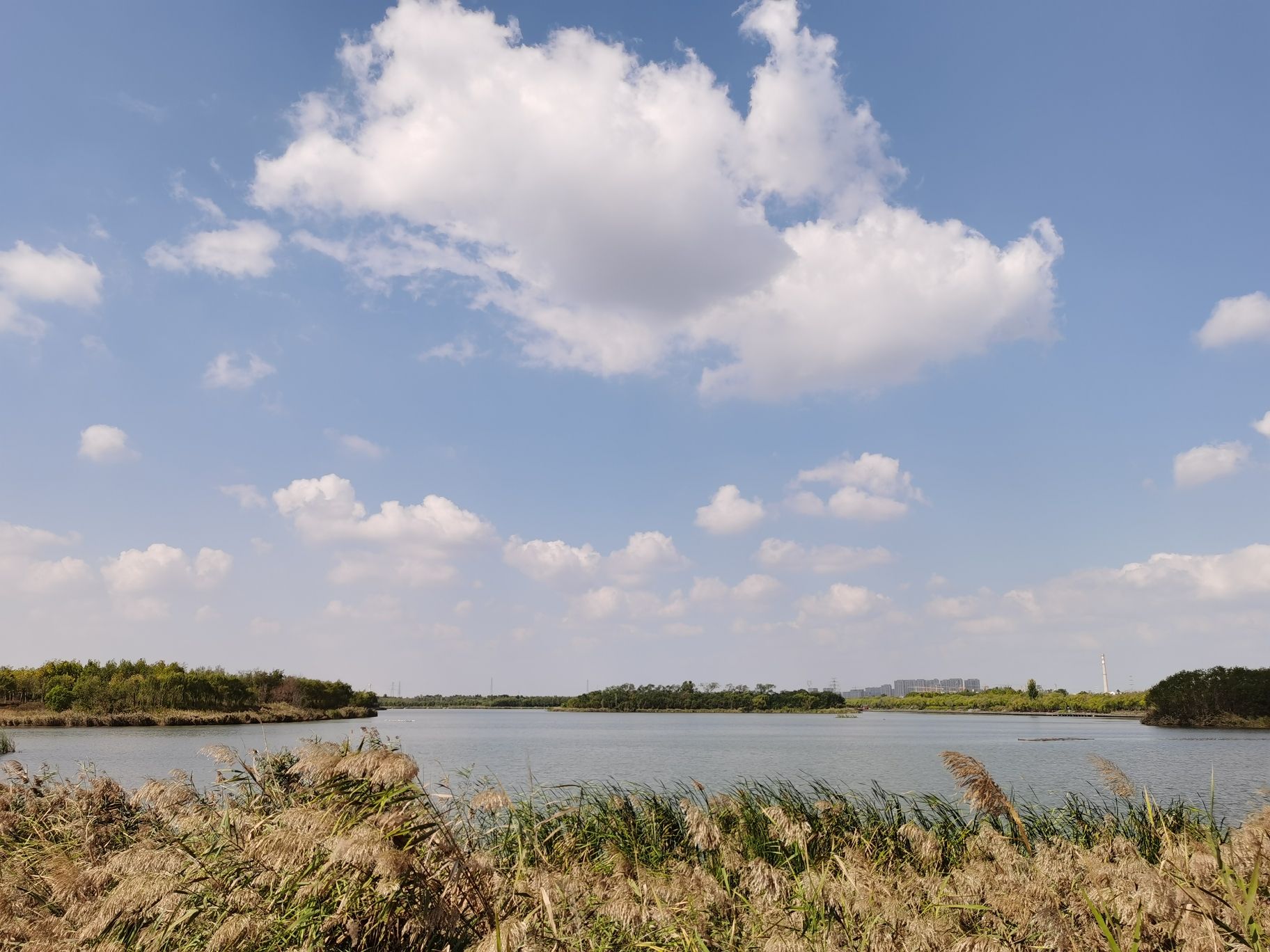 广利河森林湿地公园