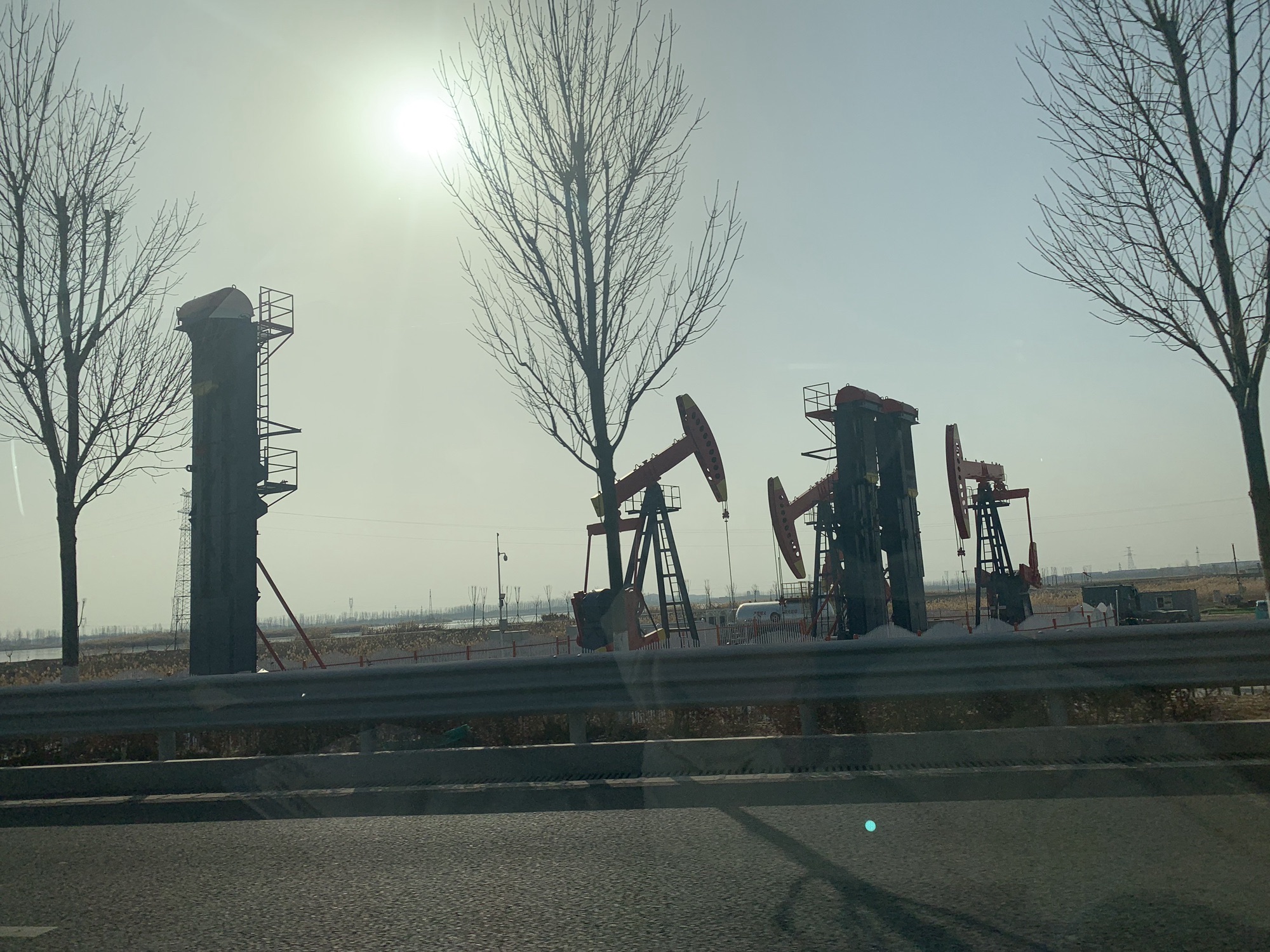 广利河森林湿地公园旅行图片 2