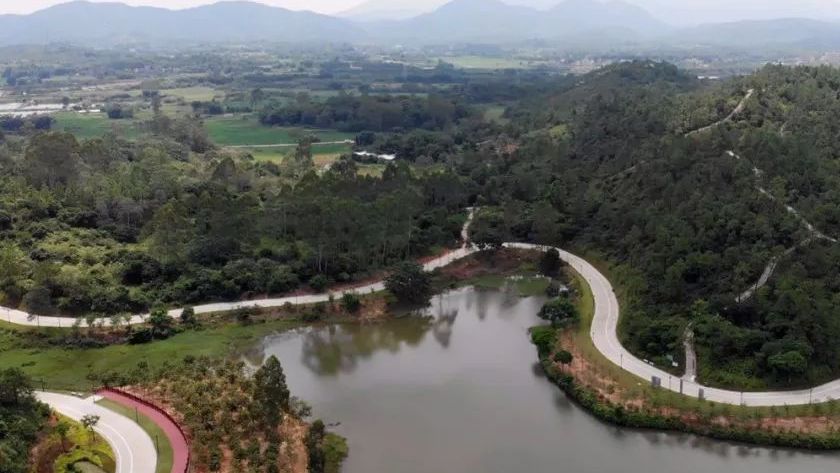 东湖森林公园旅行图片 1