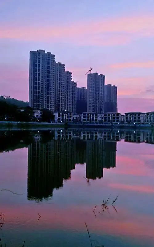 东湖森林公园旅行图片 2