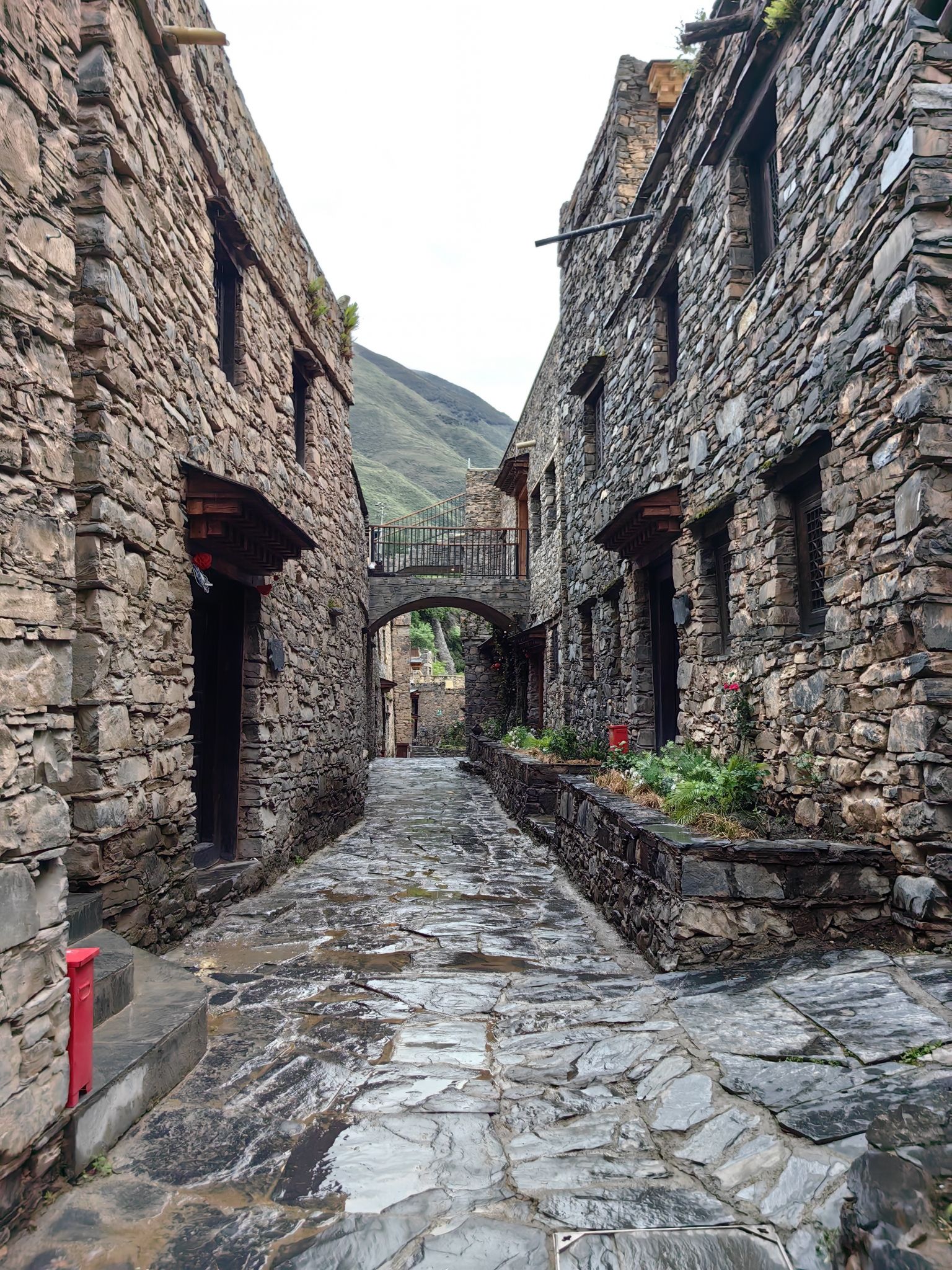 松岗镇碉楼旅行图片 2