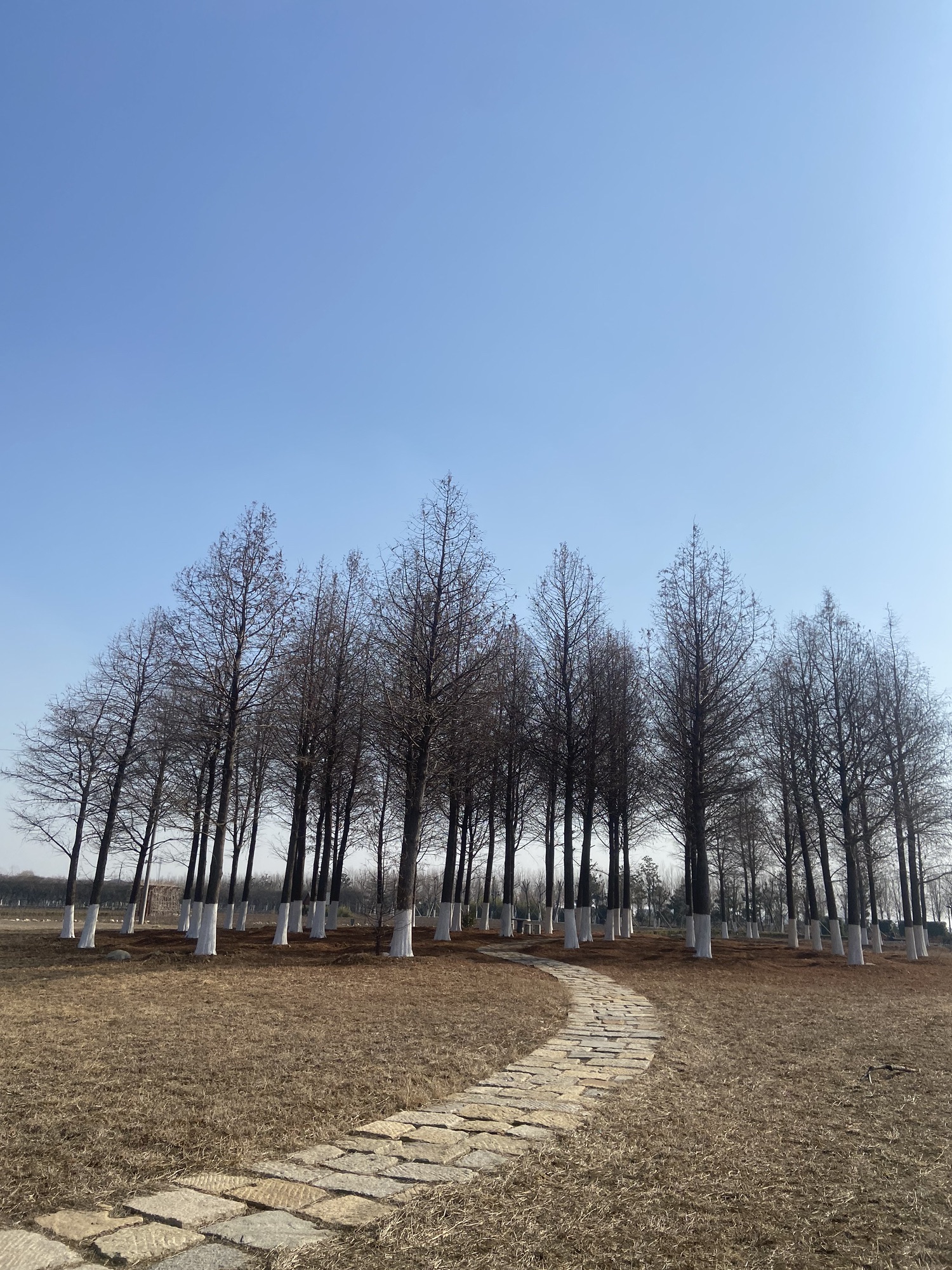 潜园旅行图片 3