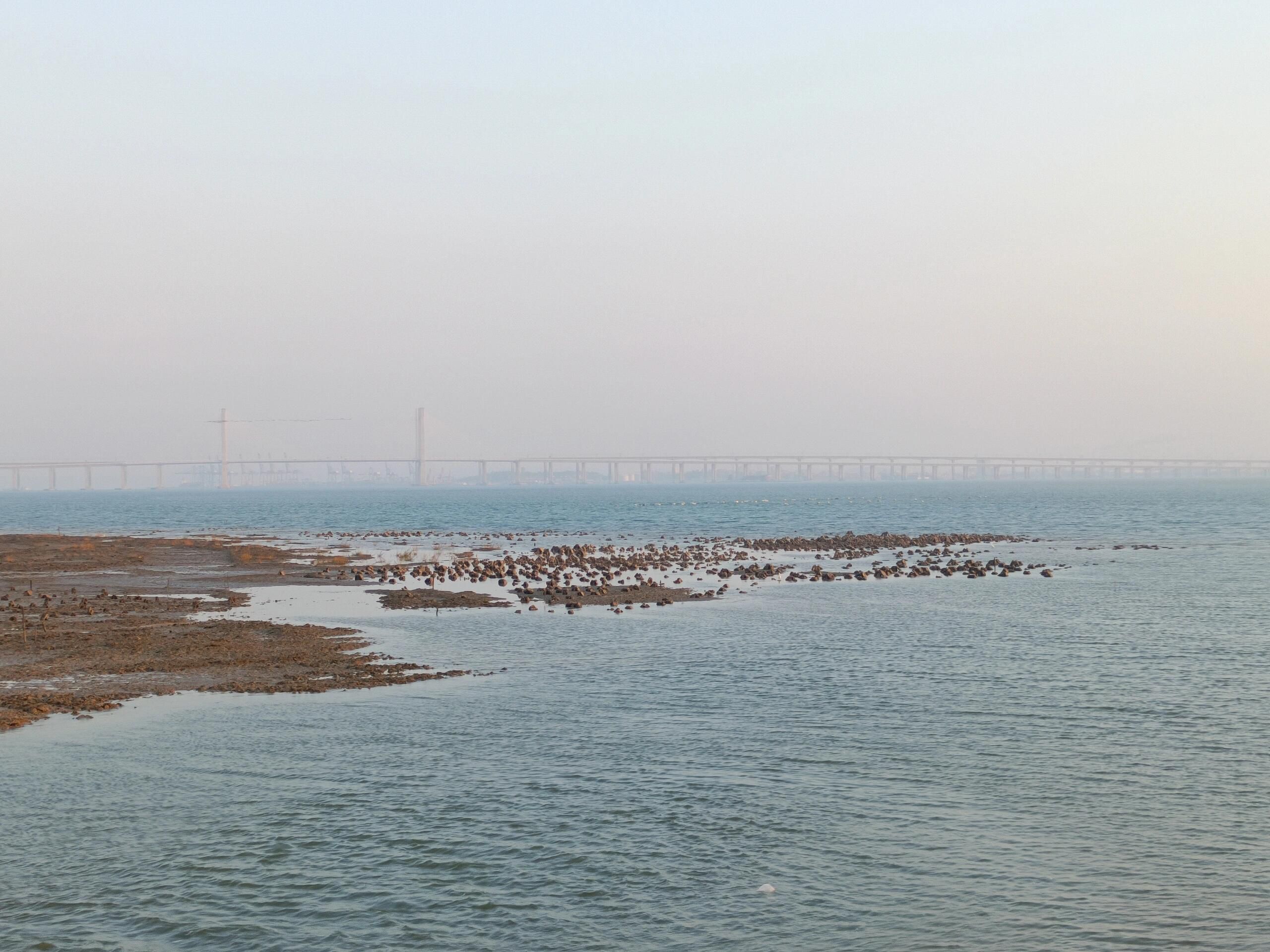 滨海公园旅行图片 1