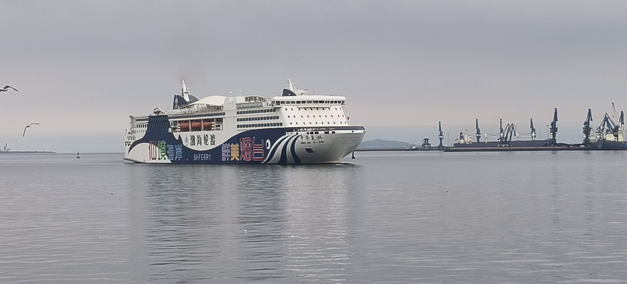 滨海公园旅行图片 1