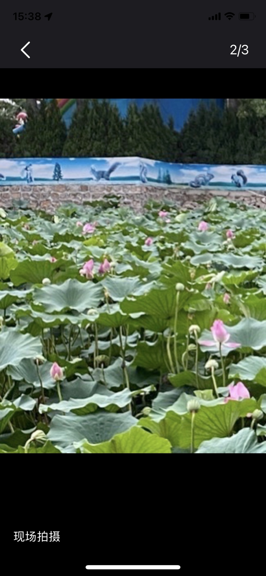 白家湾滨水公园旅行图片 2