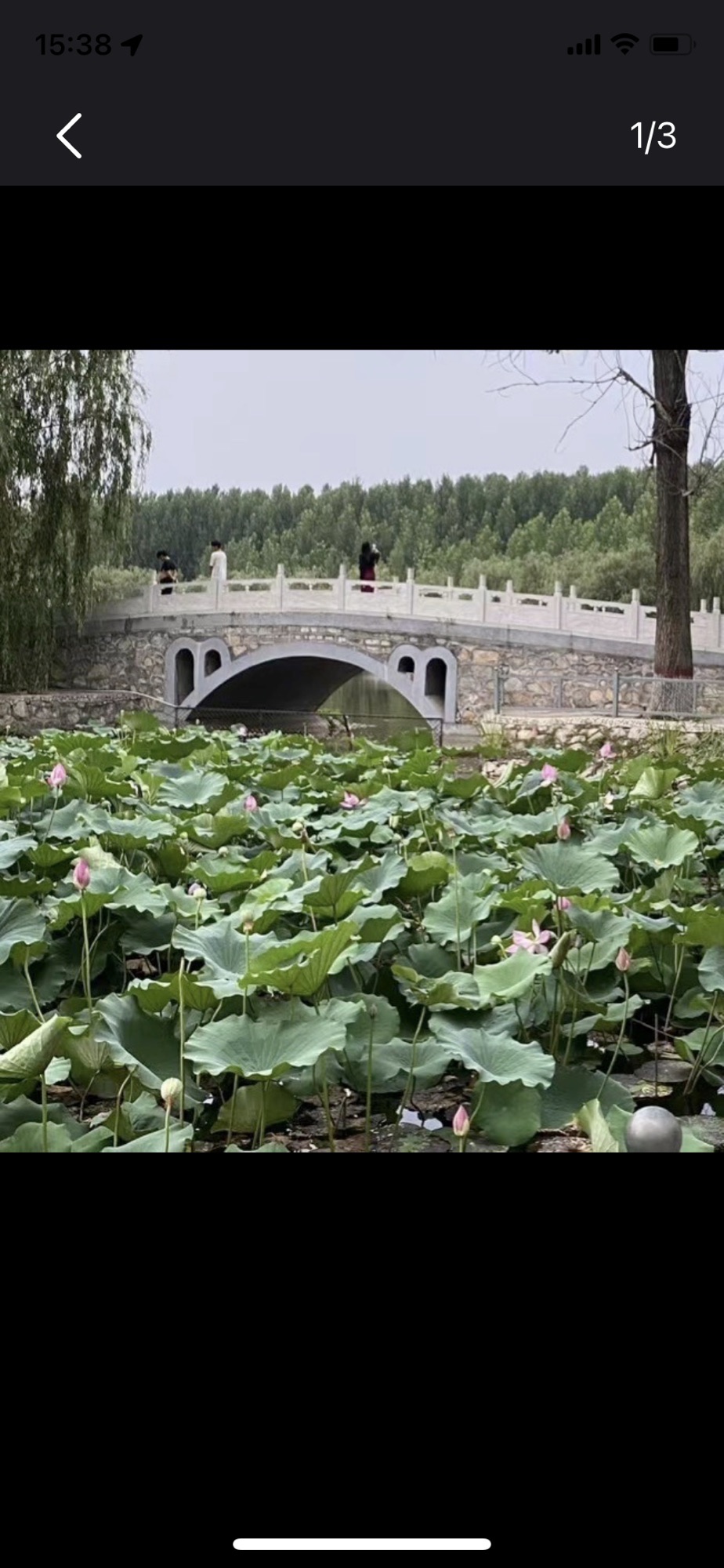 白家湾滨水公园旅行图片 3