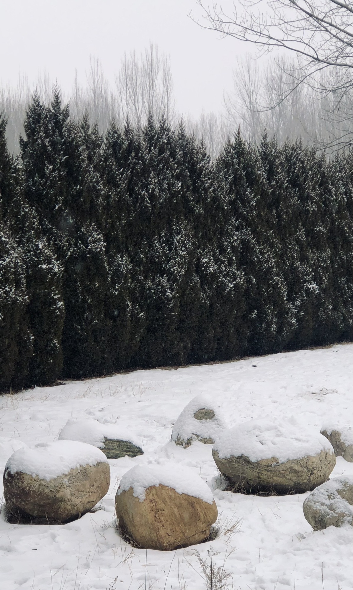 白家湾滨水公园旅行图片 3