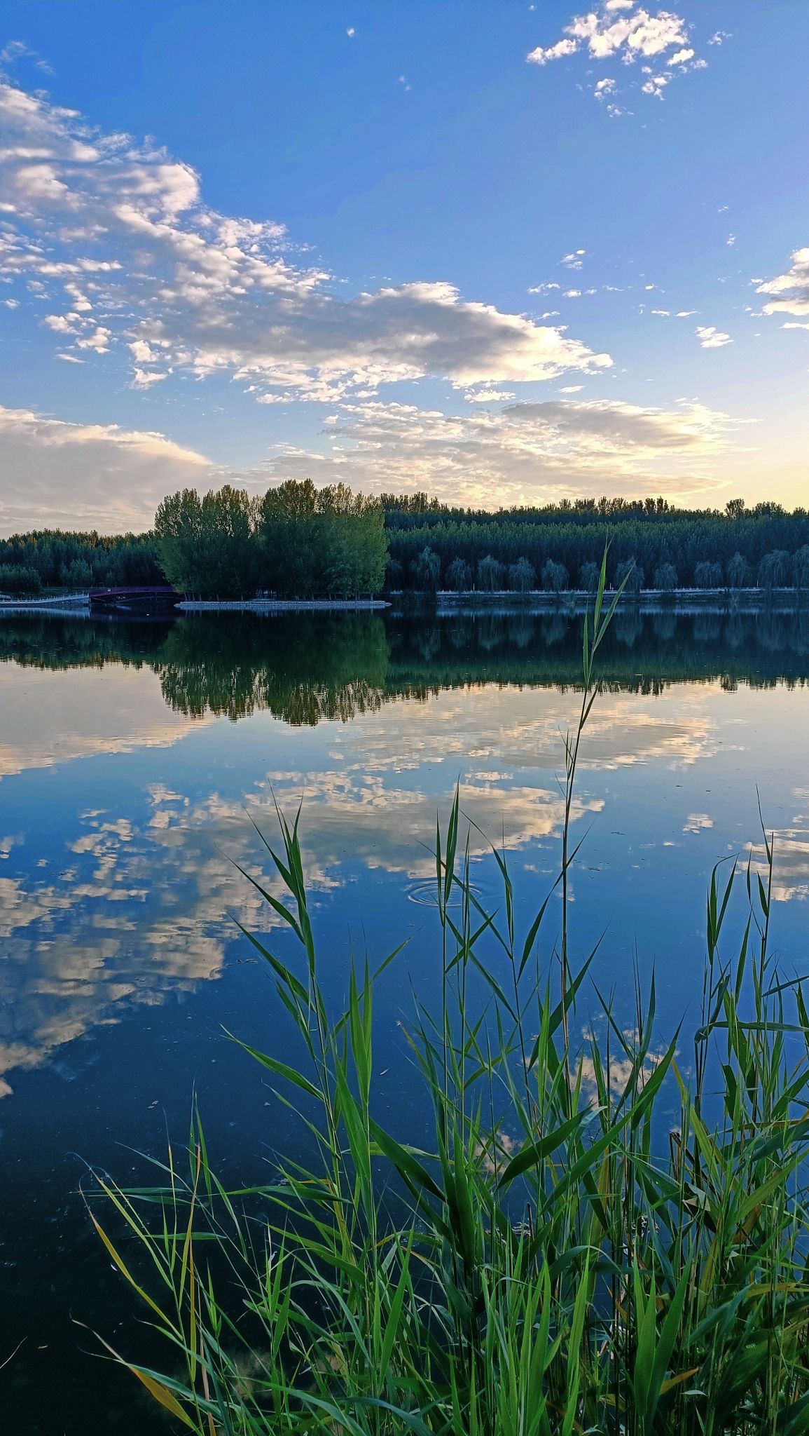 白家湾滨水公园旅行图片 3