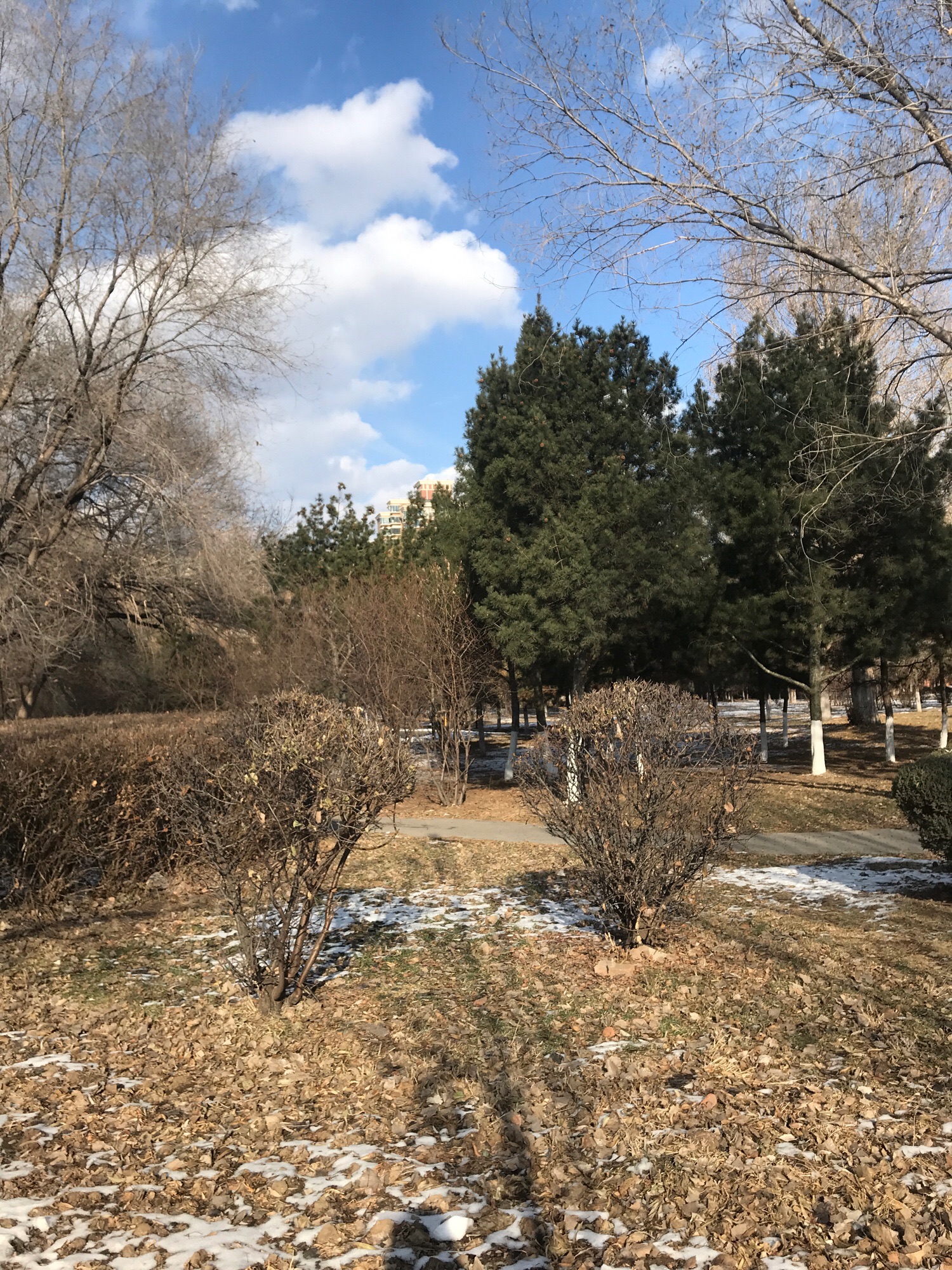 青铜文化园旅行图片 2