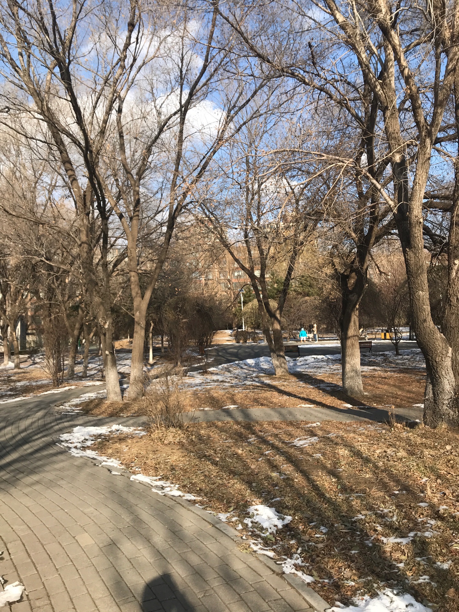 青铜文化园旅行图片 3