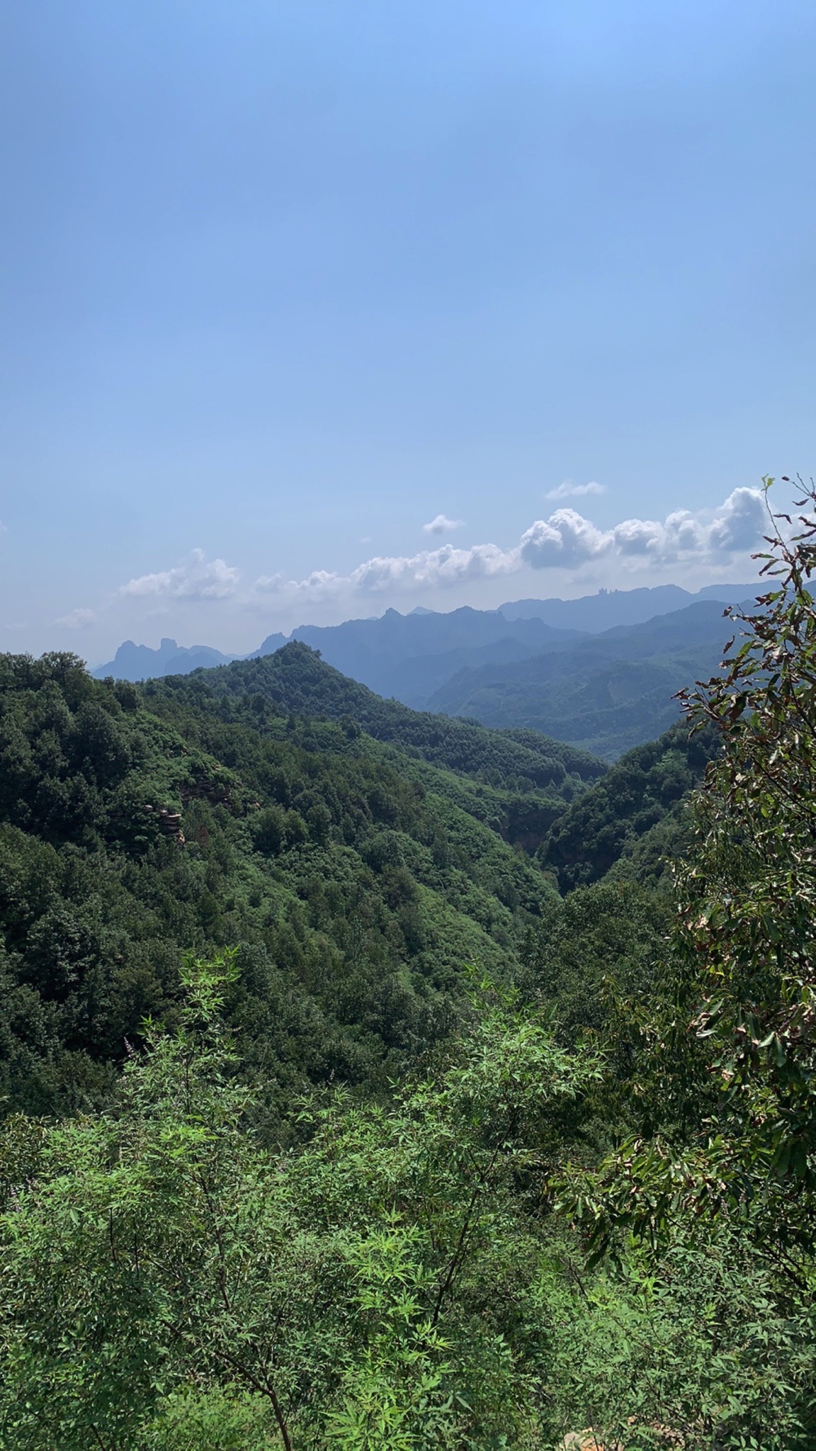 凤凰崖景区旅行图片 1
