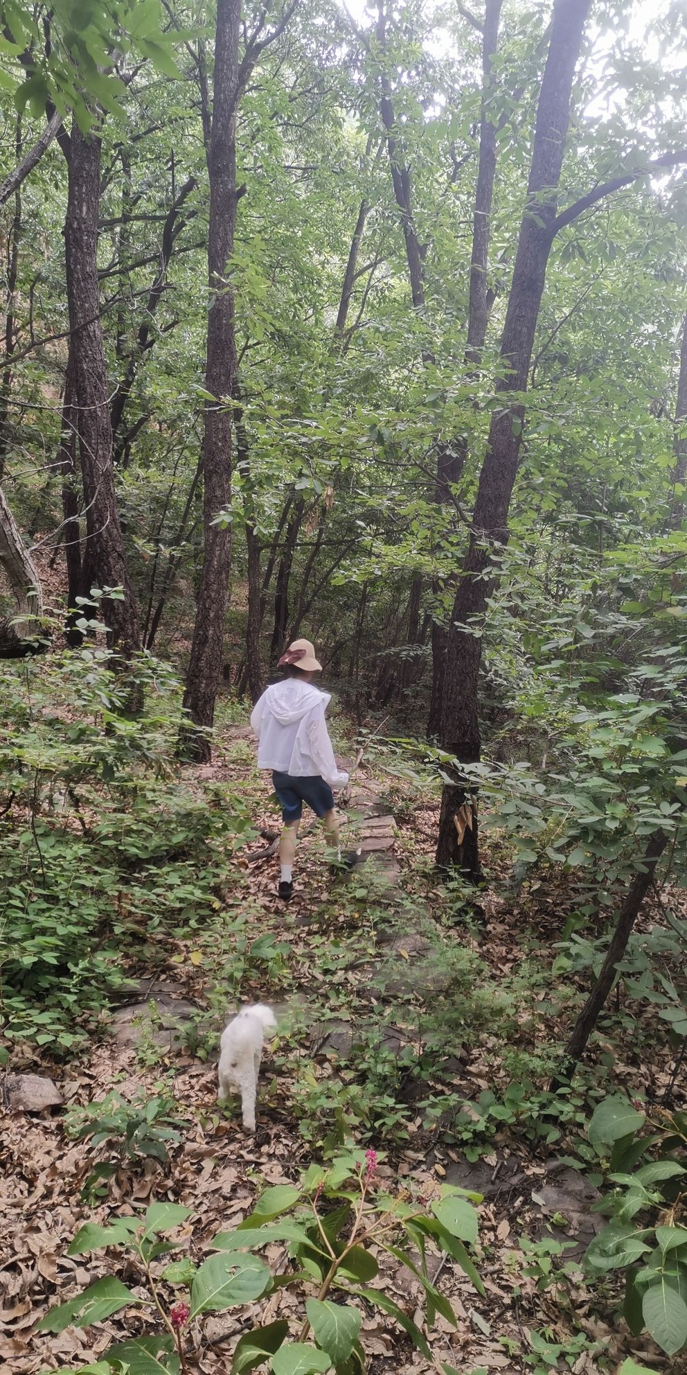 凤凰崖景区旅行图片 1