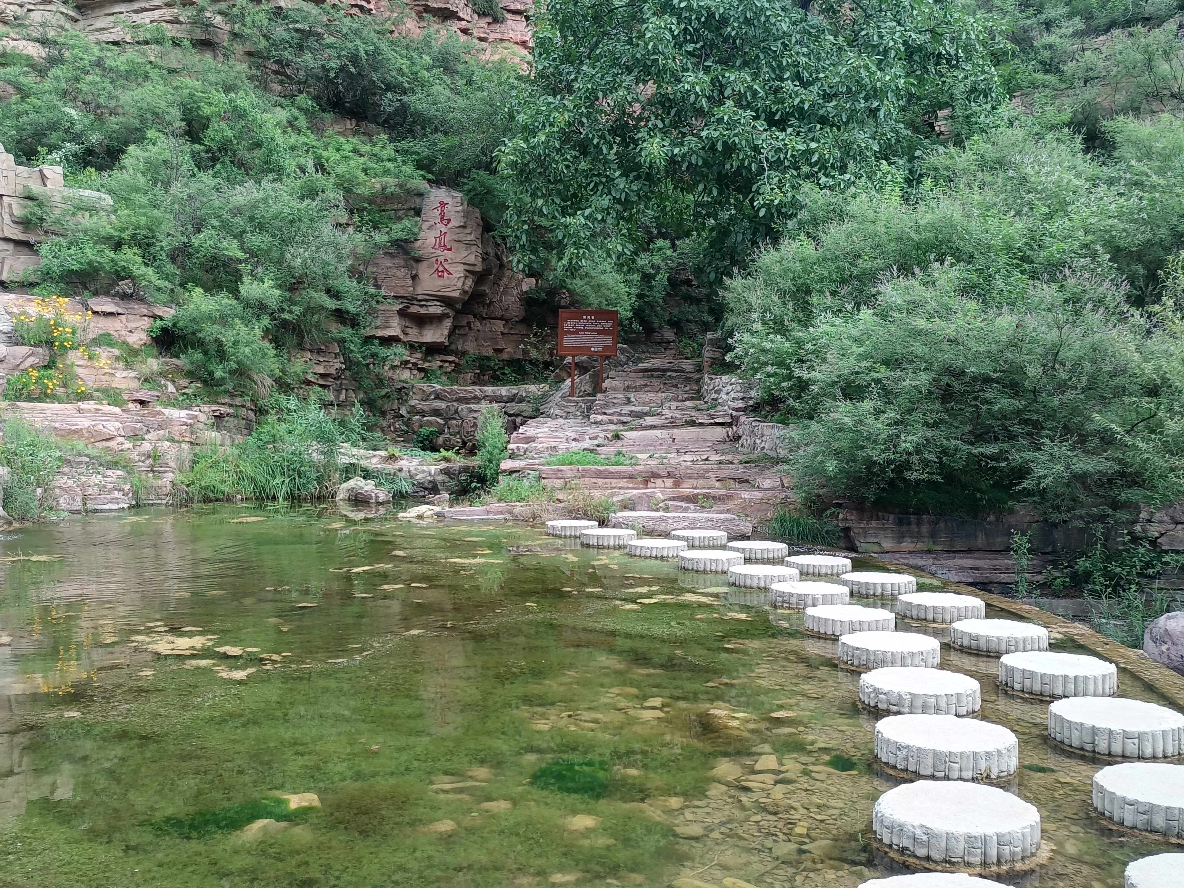 凤凰崖景区旅行图片 3