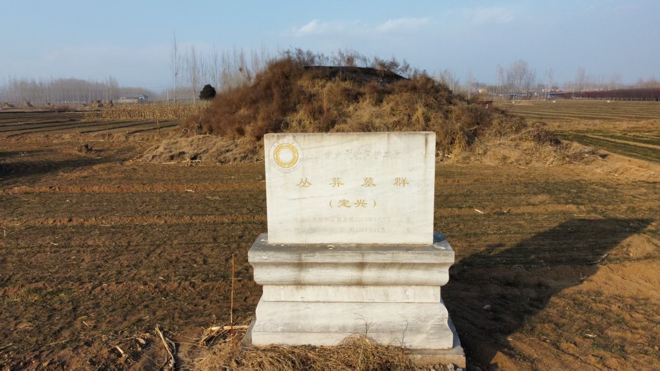 丛葬墓群旅行图片 1