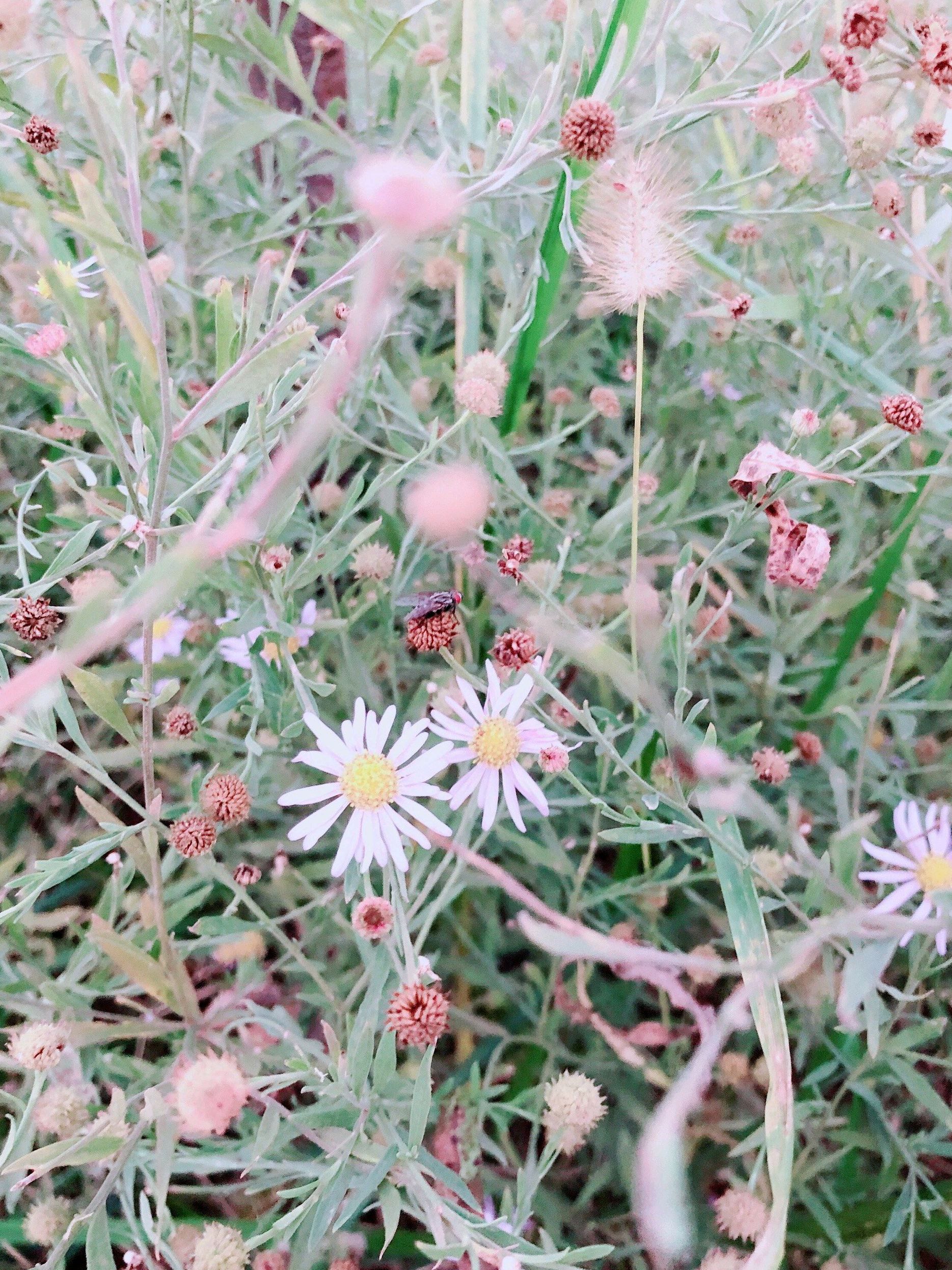 周公河湿地公园旅行图片 3