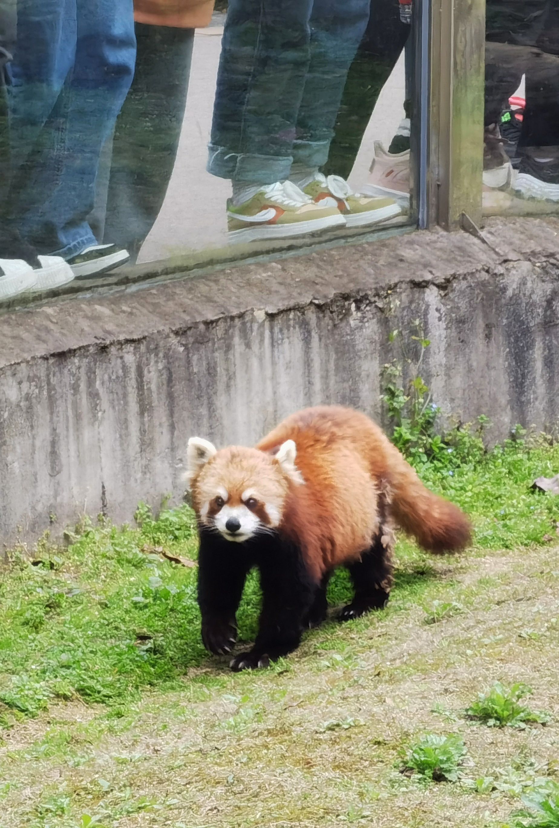 黔灵山公园-贵阳大熊猫馆