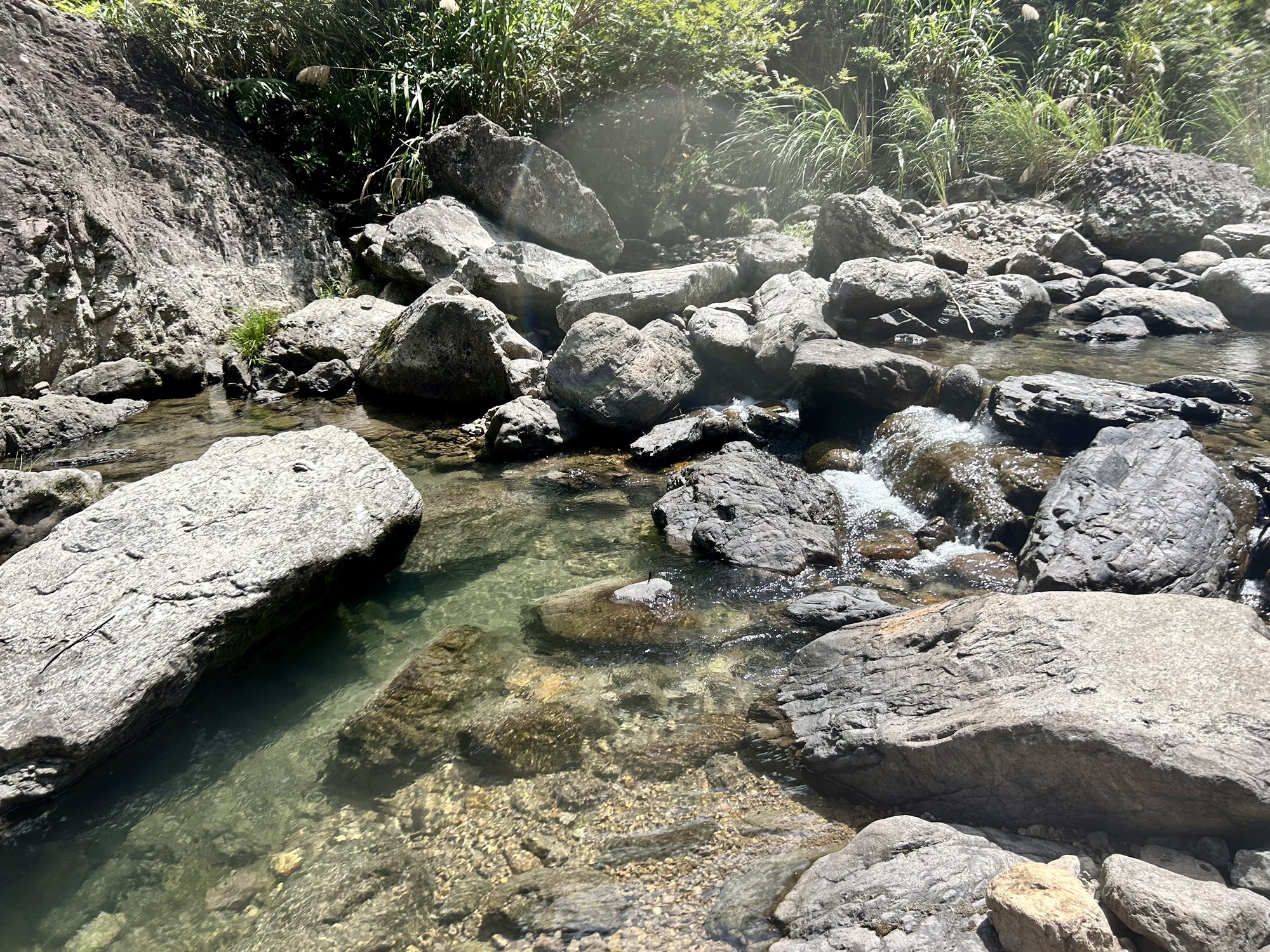 丽人谷旅行图片 3