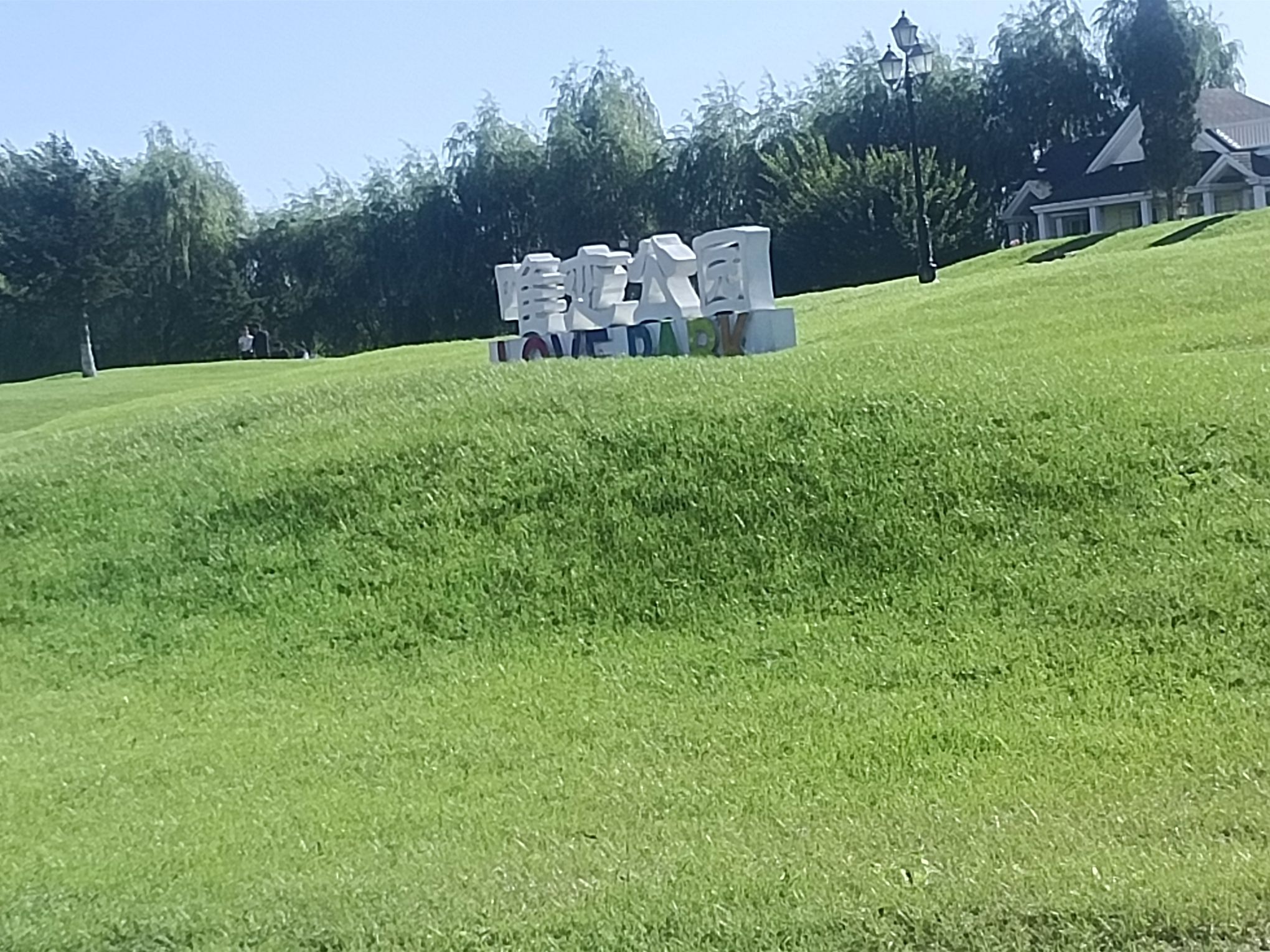 唯恋公园旅行图片 3