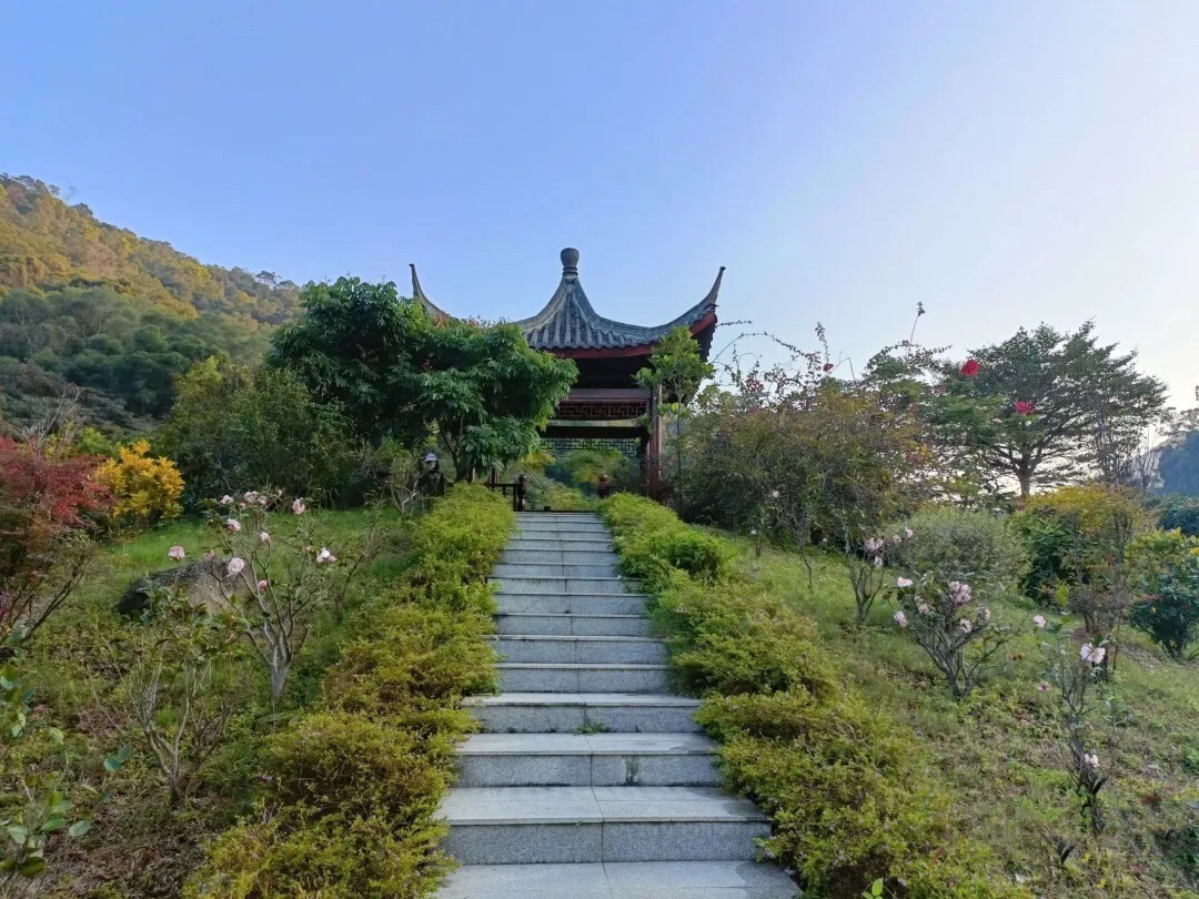绿湖公园旅行图片 3