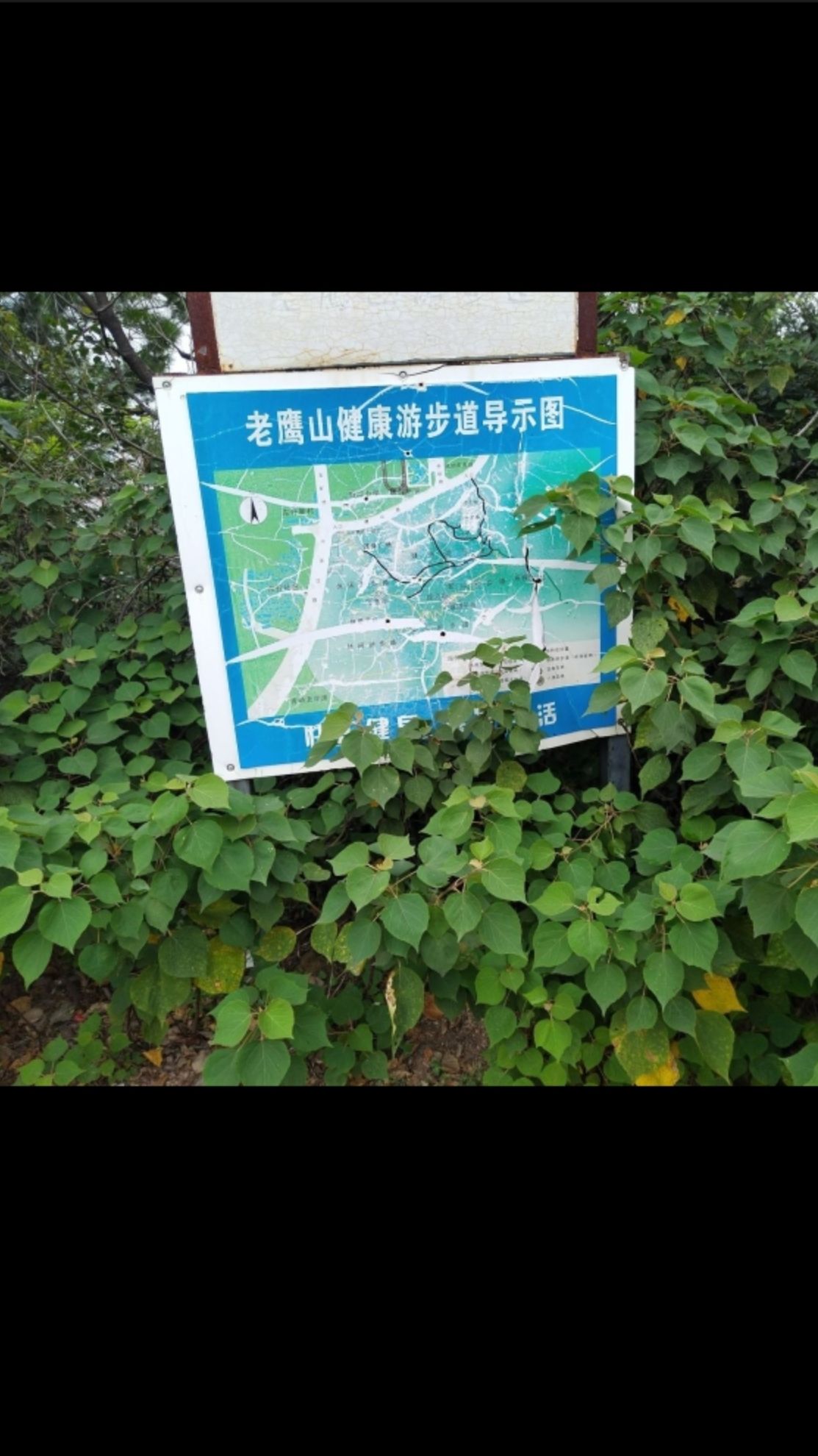 老鹰山游步道旅行图片 2