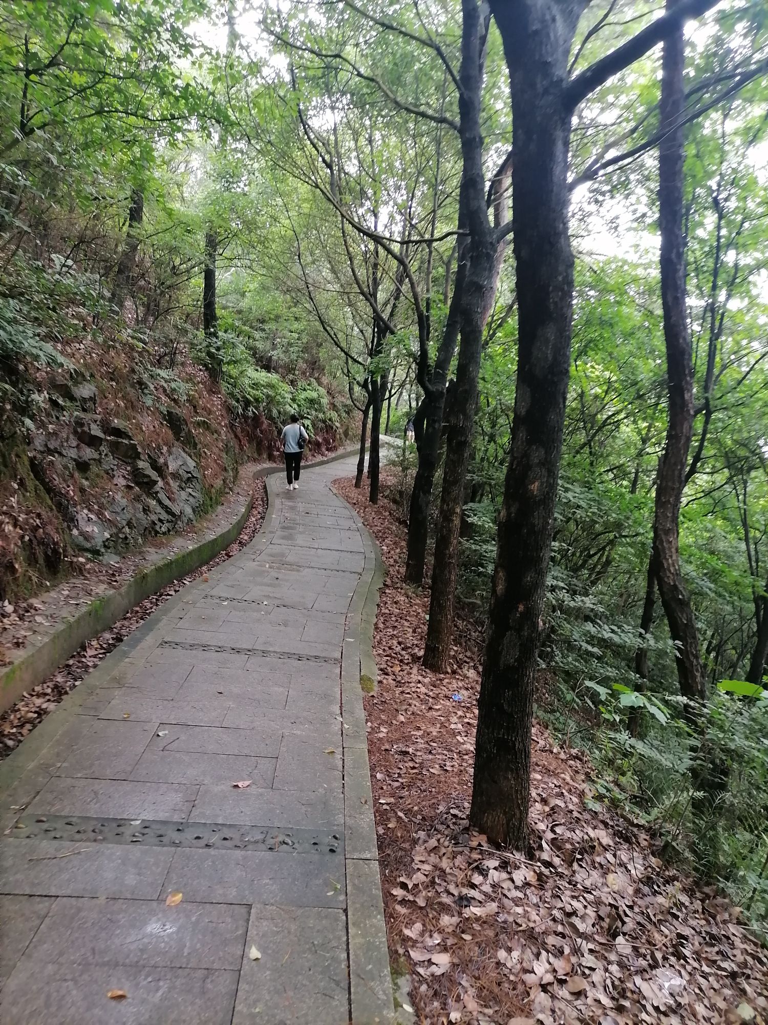 老鹰山游步道旅行图片 2