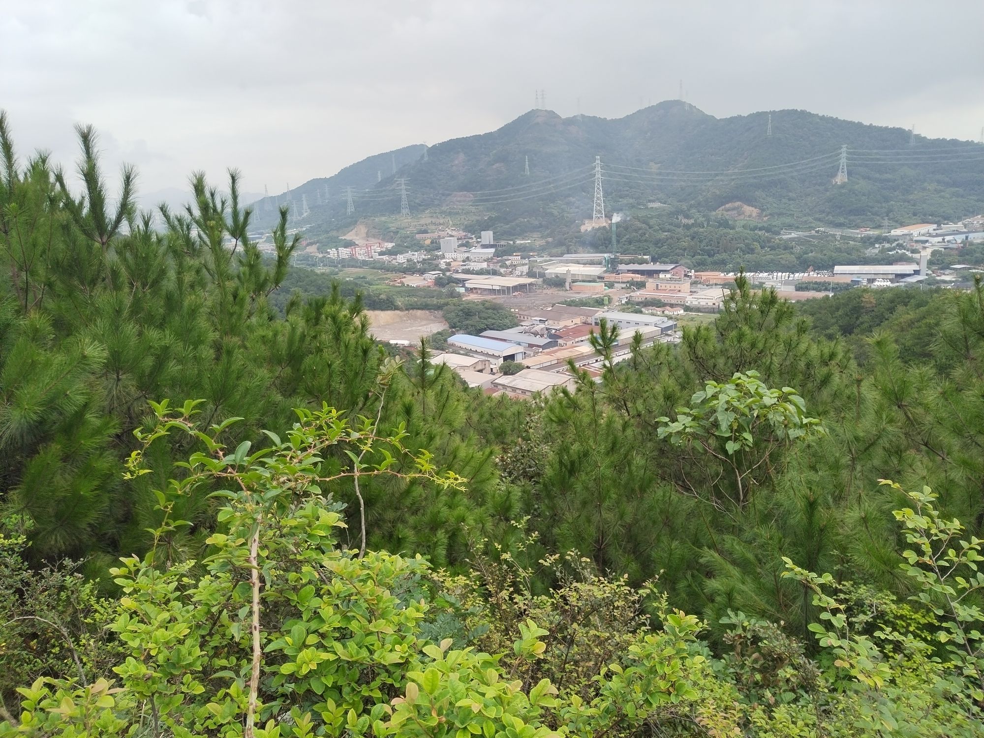 老鹰山游步道旅行图片 3