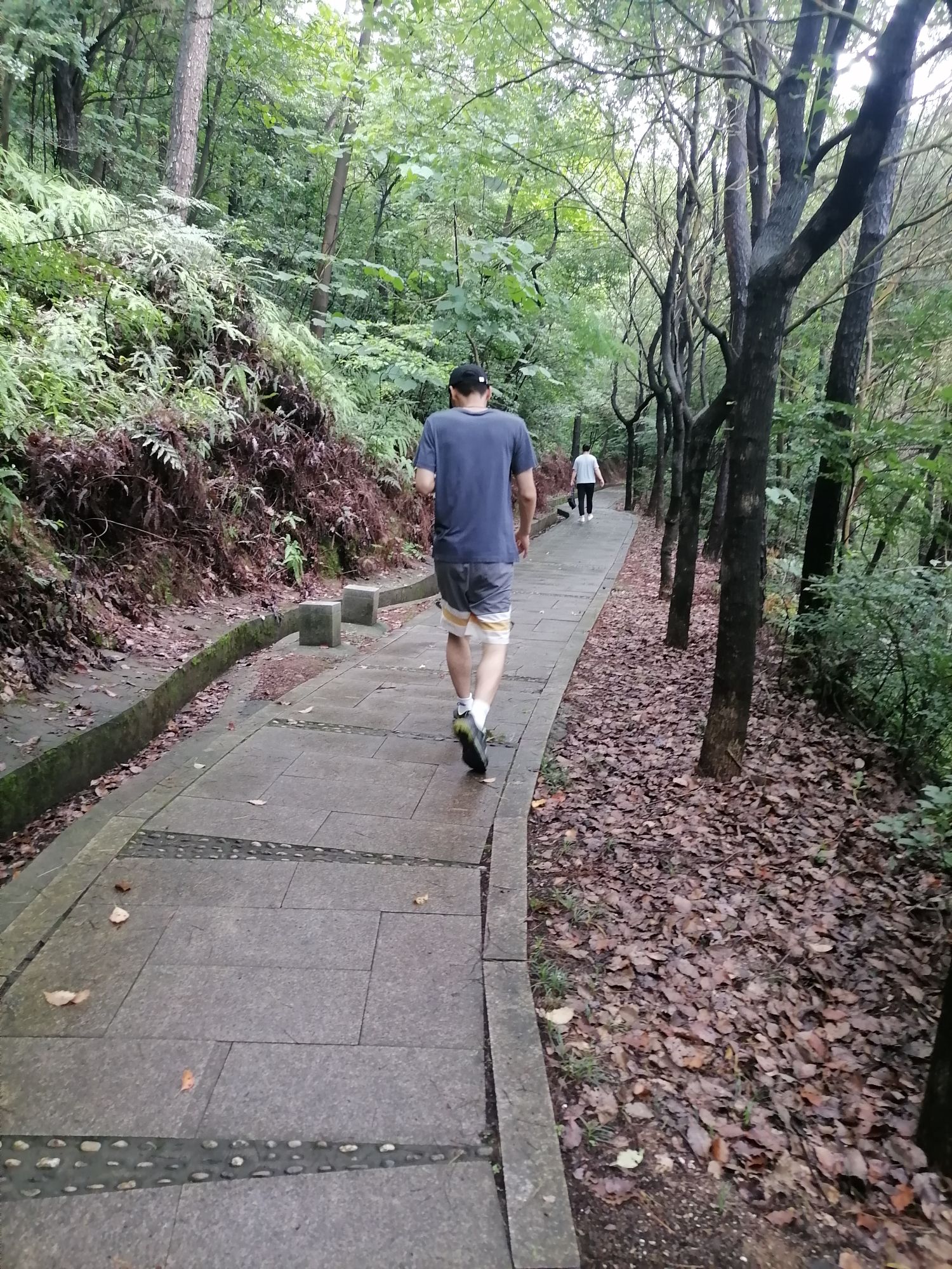 老鹰山游步道旅行图片 1