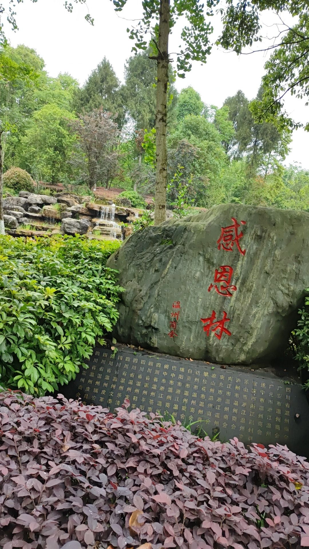 感恩林