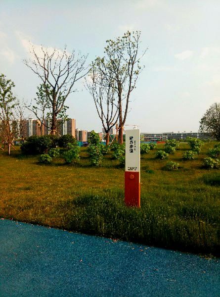 九龙湖公园旅行图片 1