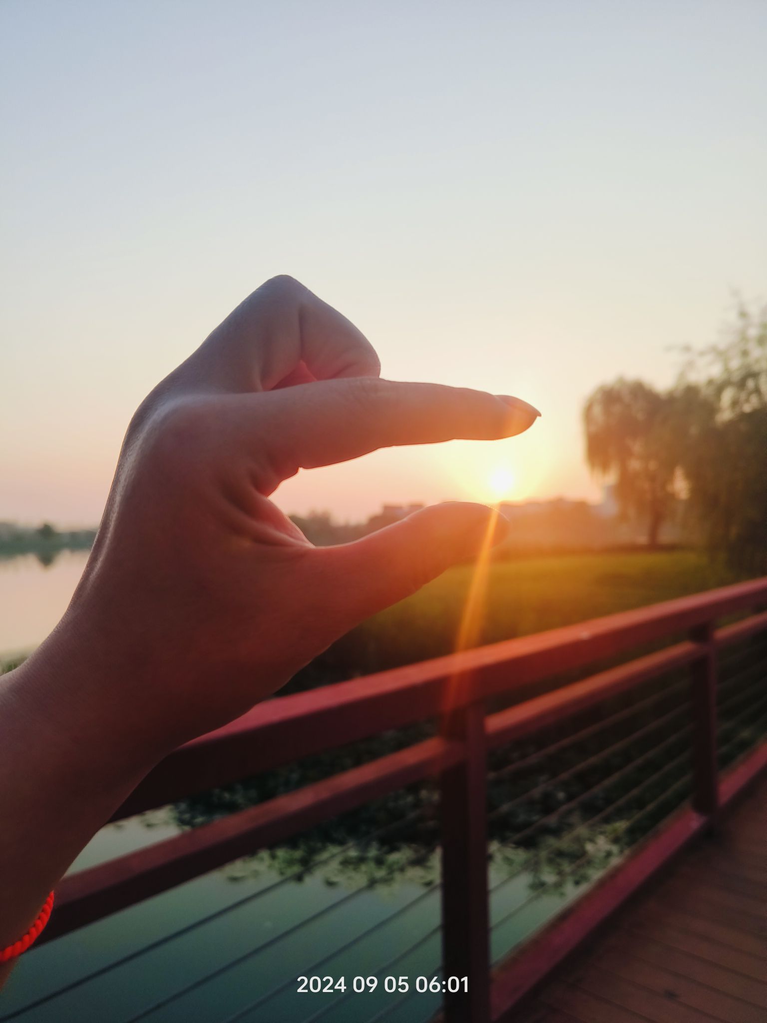 九龙湖公园旅行图片 2