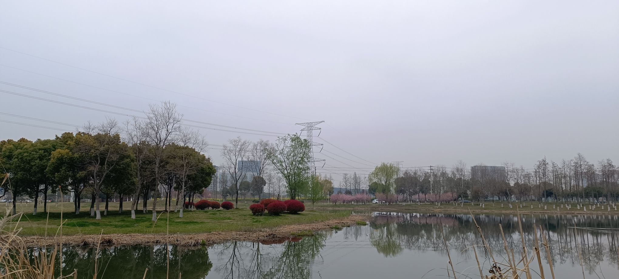 九龙湖公园旅行图片 3