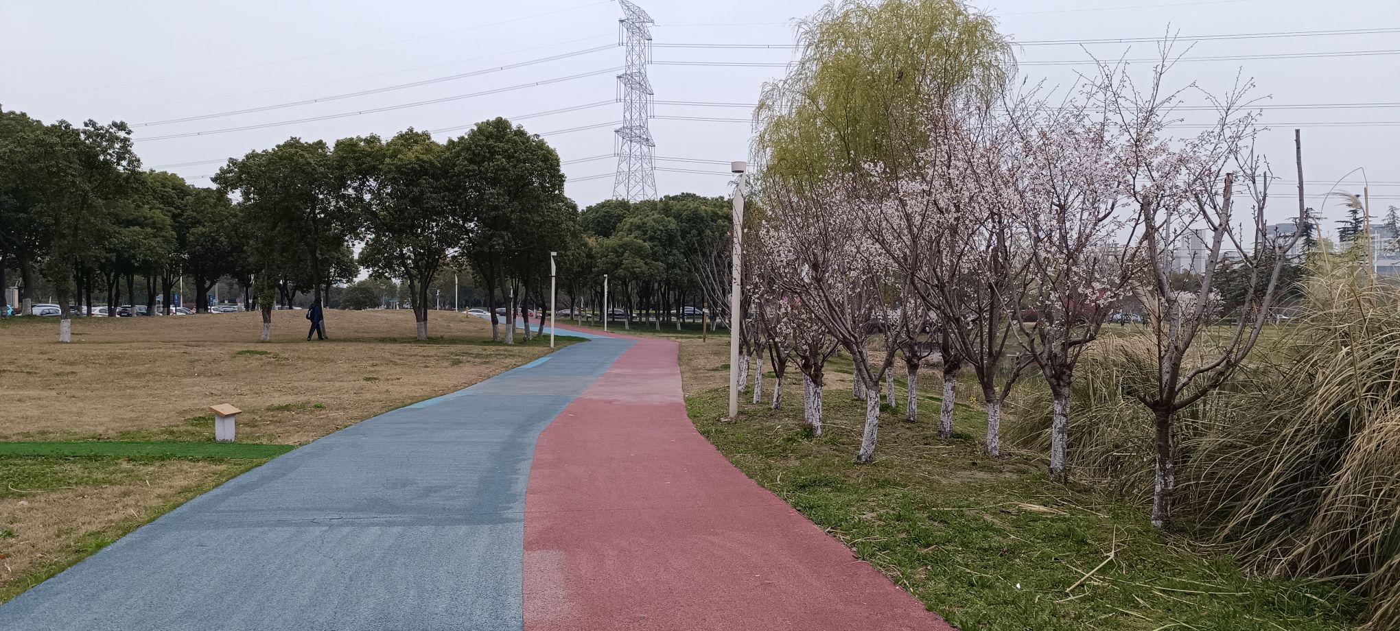 九龙湖公园旅行图片 2