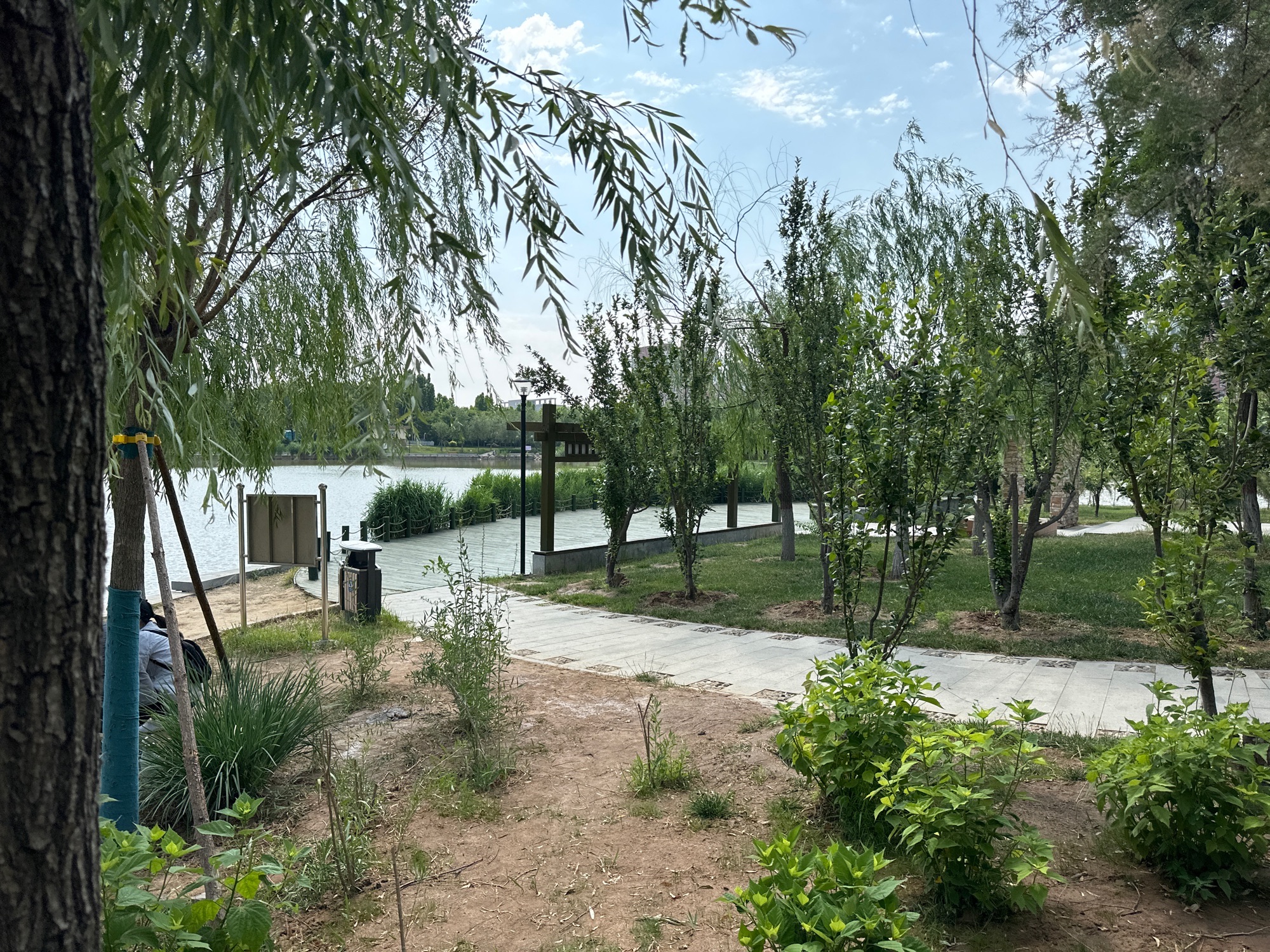 兴业公园旅行图片 2