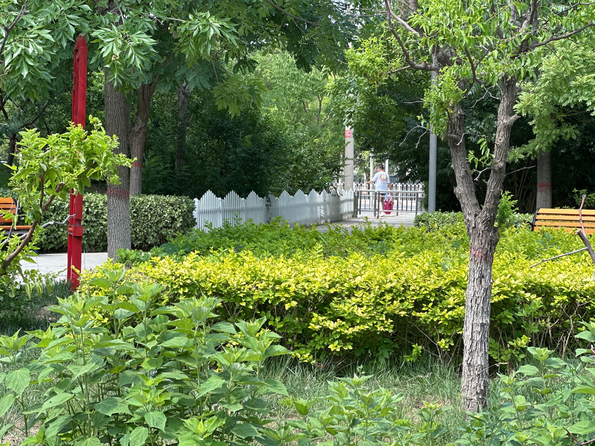 兴业公园旅行图片 3