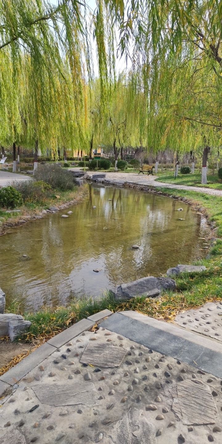 兴业公园旅行图片 2