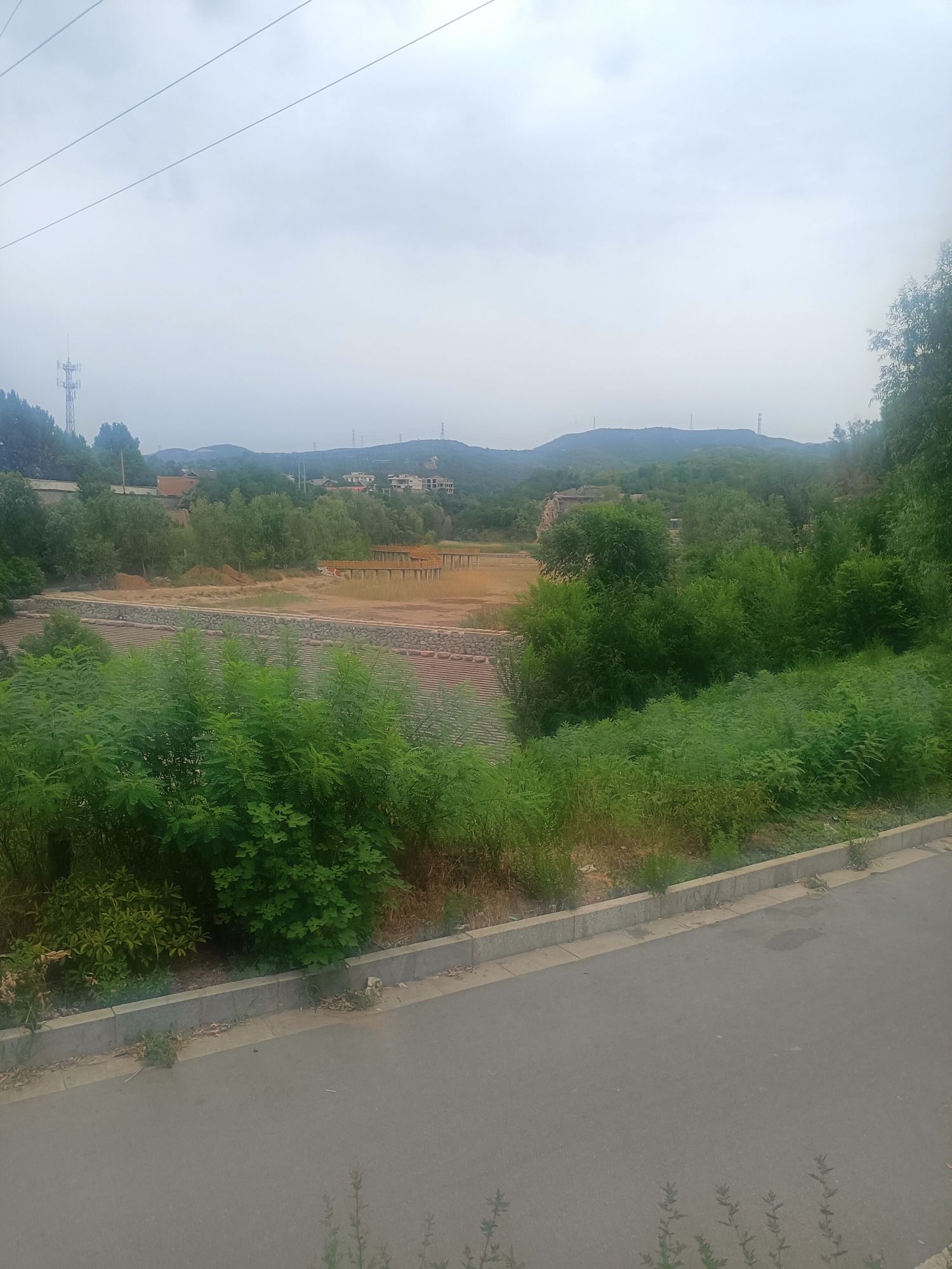 普济公园旅行图片 3