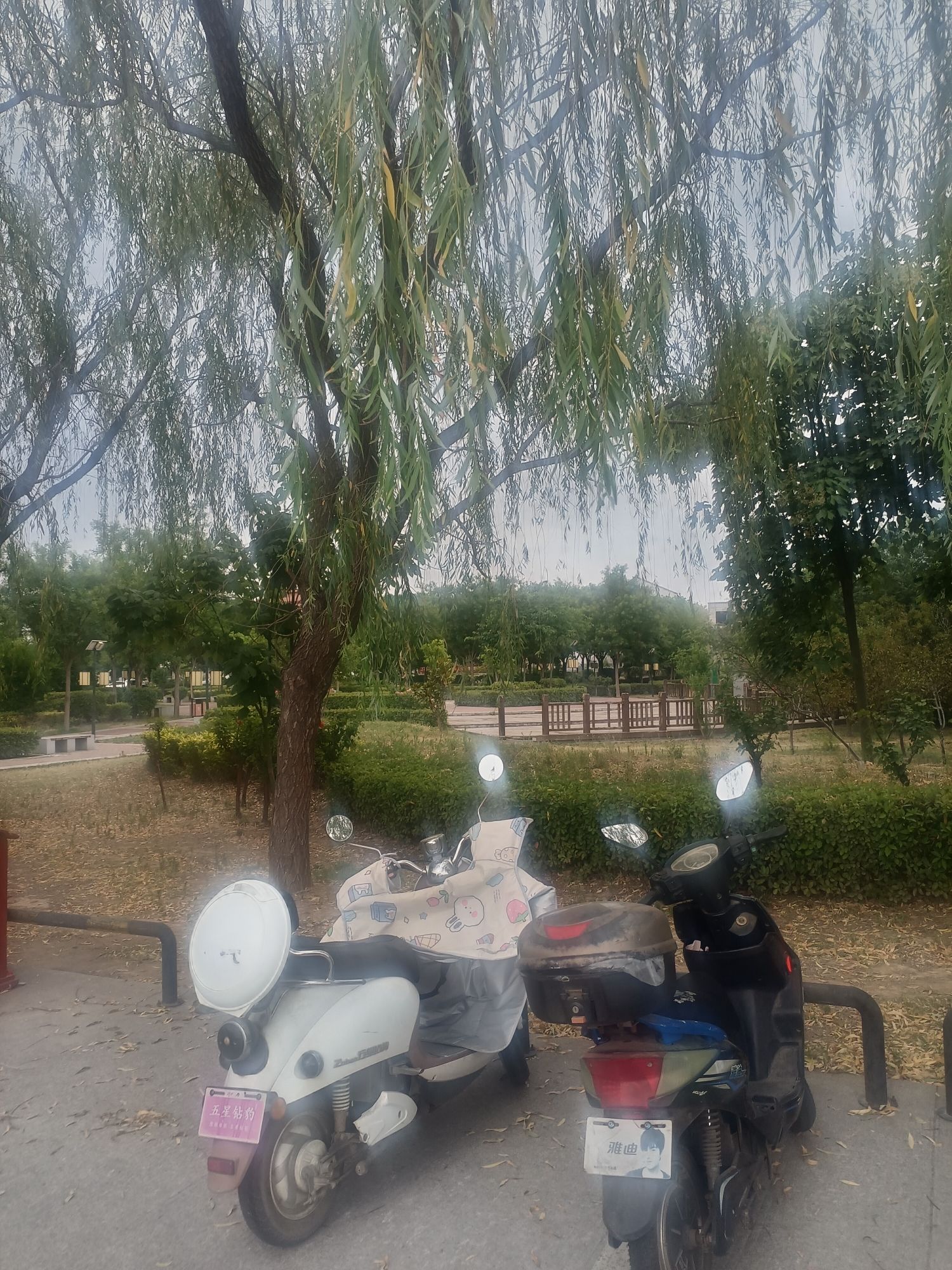 普济公园旅行图片 2