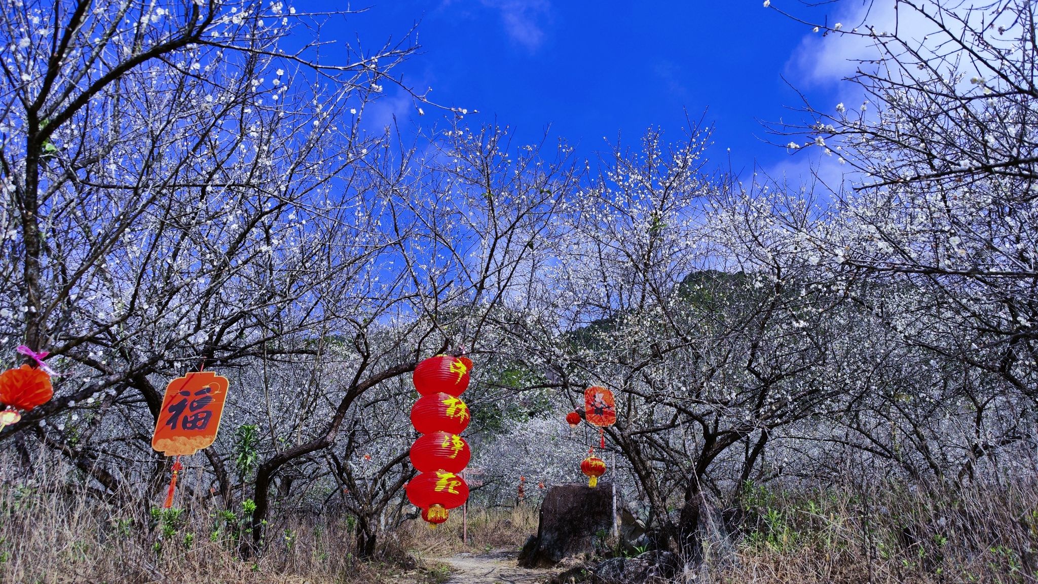 老仙洞风景区旅行图片 2