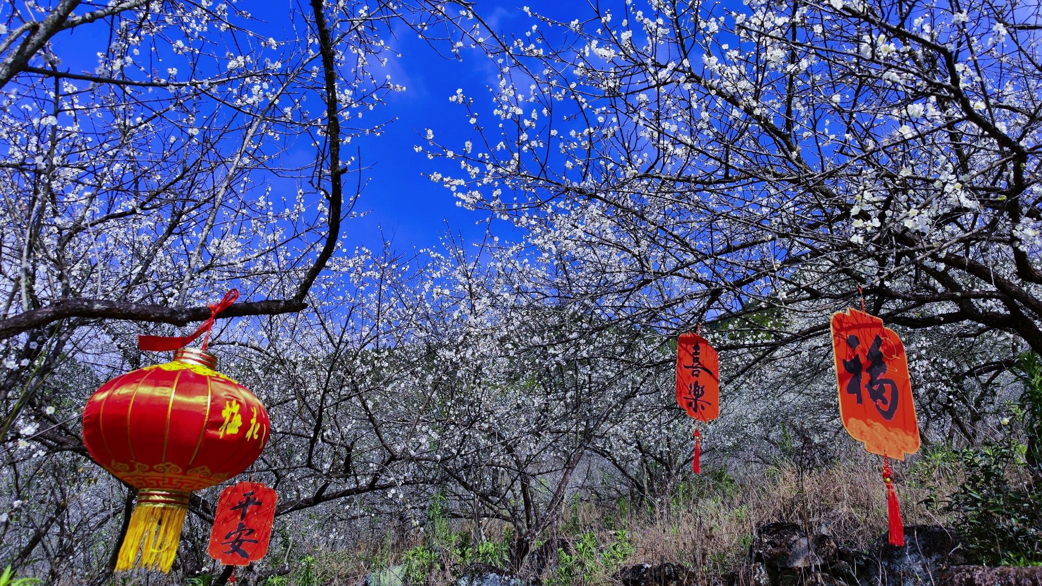 老仙洞风景区旅行图片 1