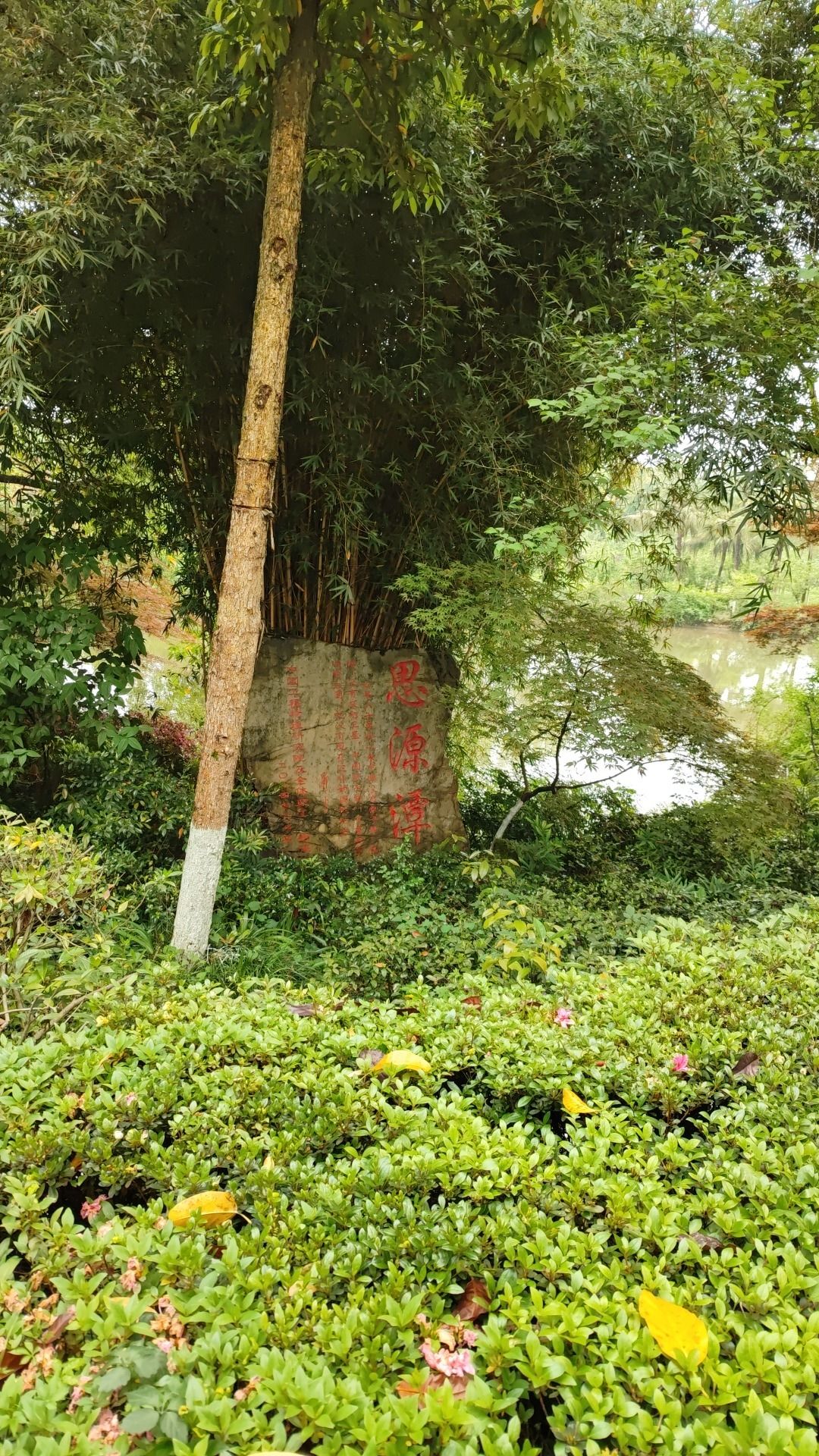 思源潭