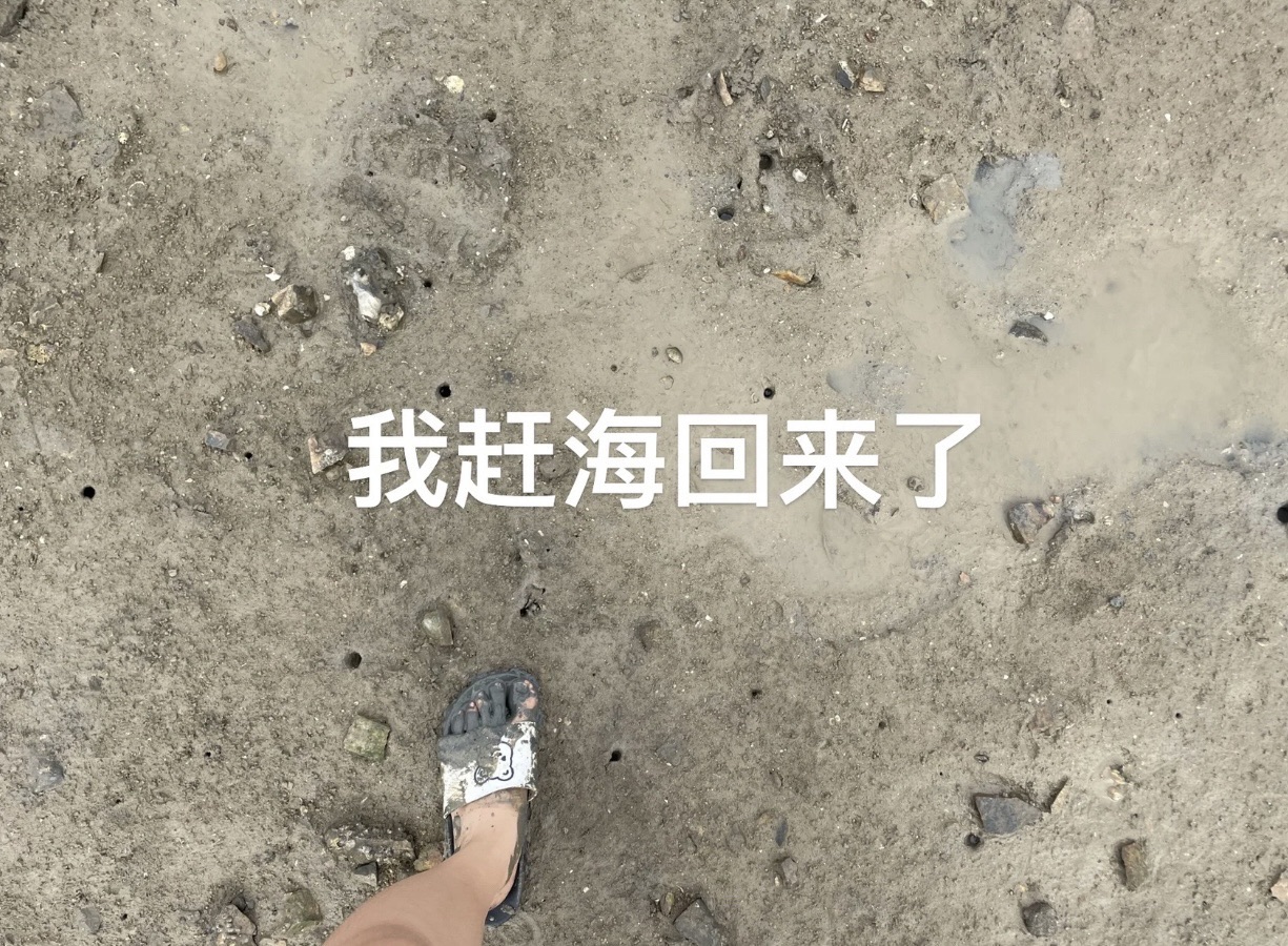 观海亭旅行图片 3