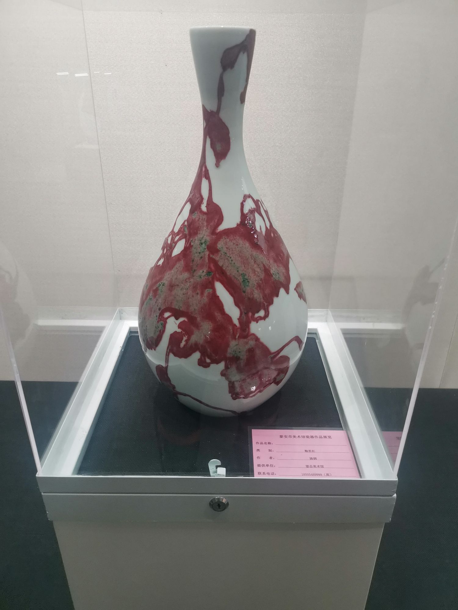 泰安市美术馆旅行图片 2