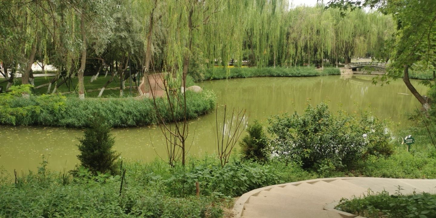 中山公园-湖心岛
