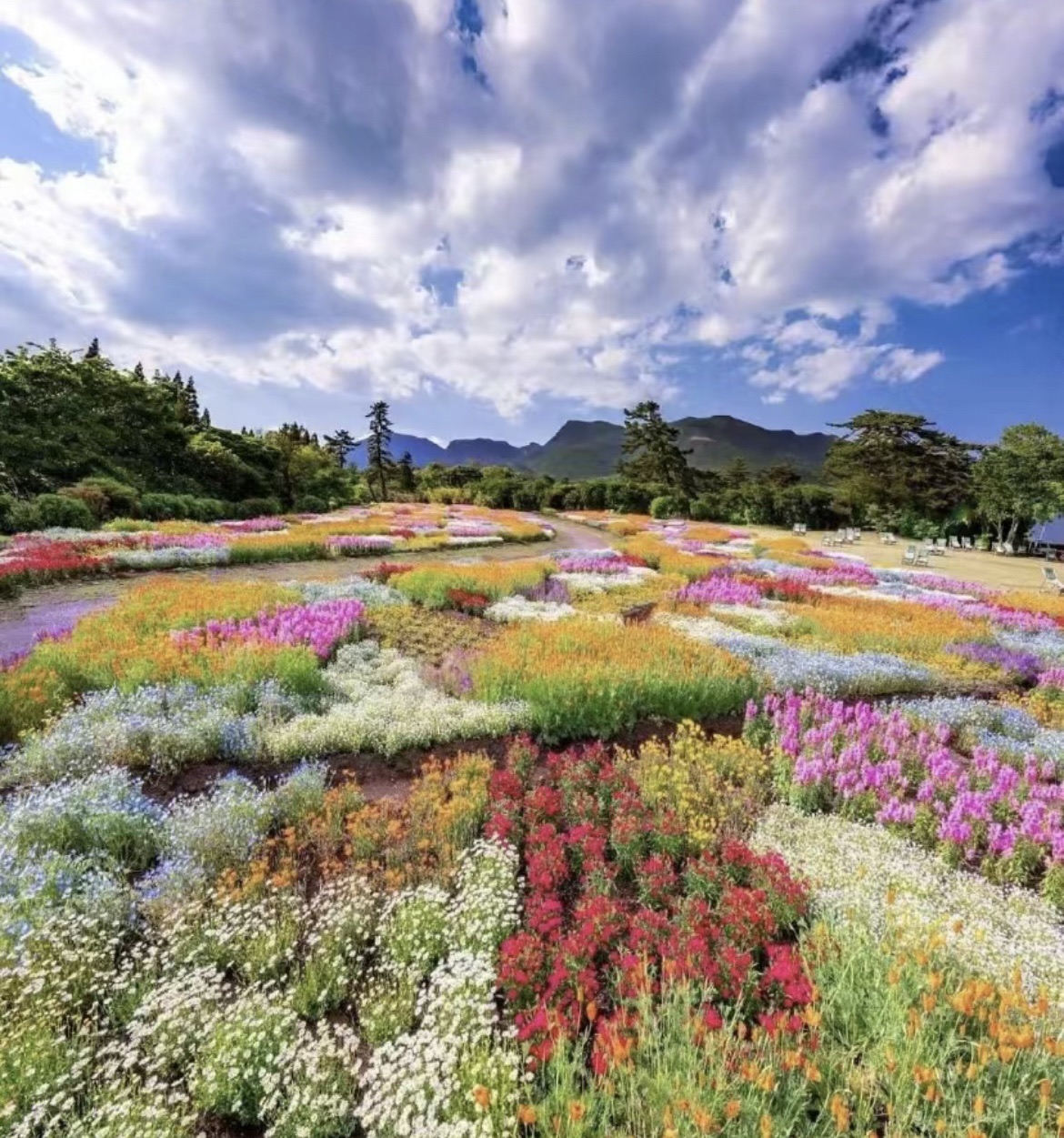 花仙子海景基地旅行图片 1