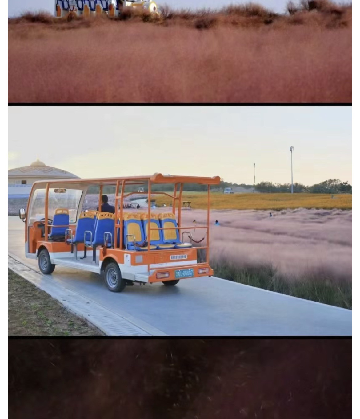 花仙子海景基地旅行图片 3