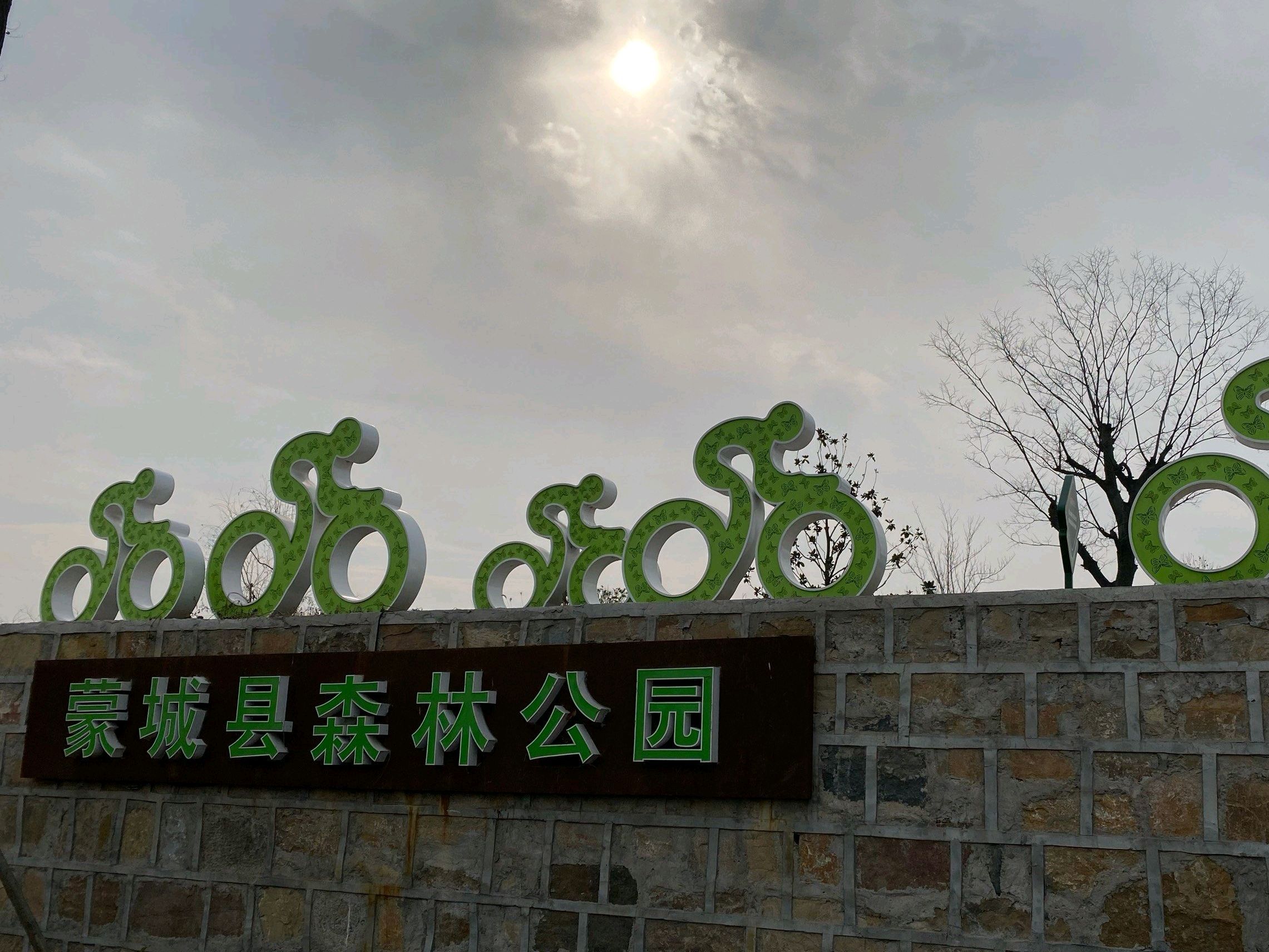 蒙城县森林公园旅行图片 2