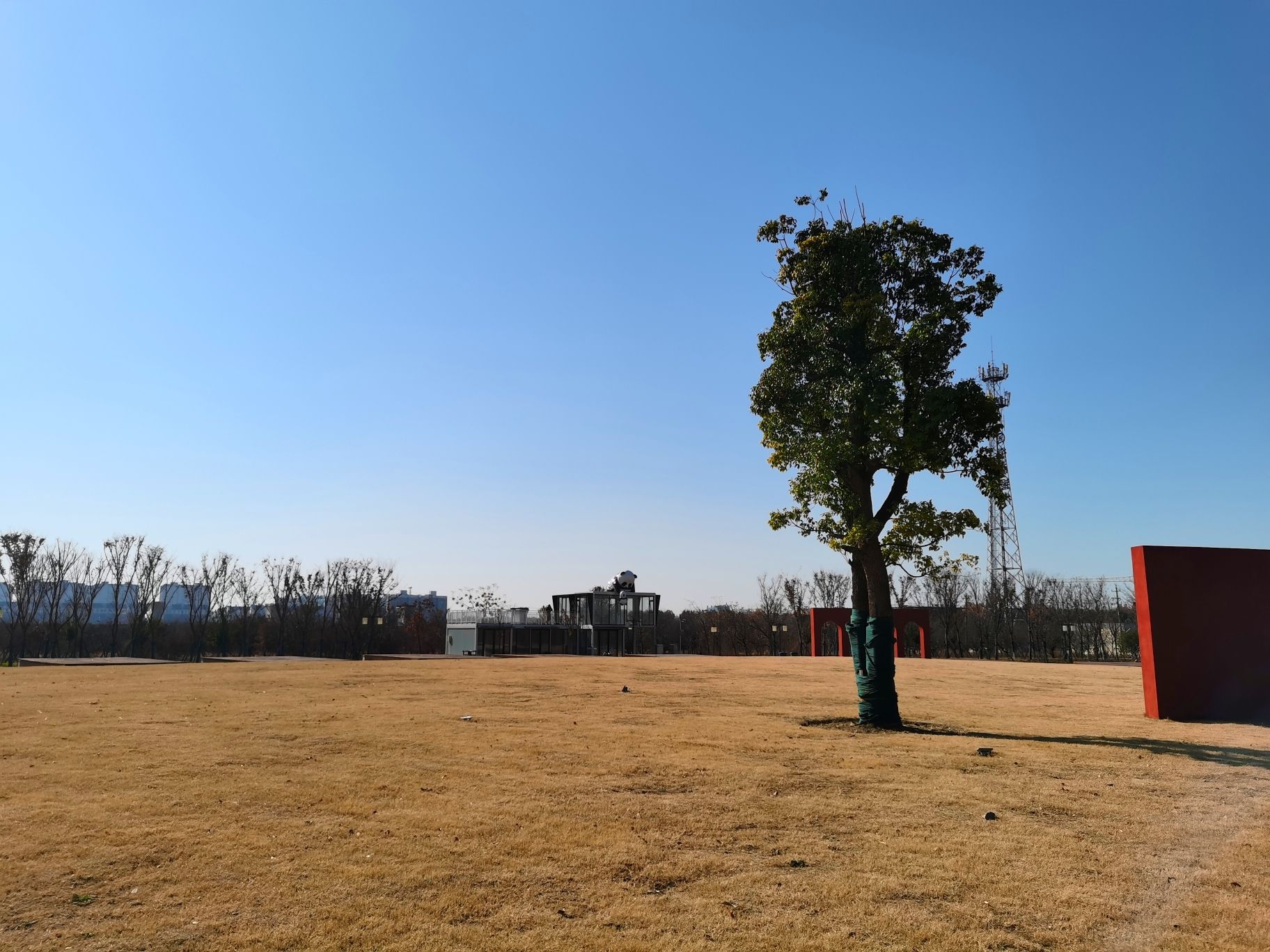 蒙城县森林公园旅行图片 3