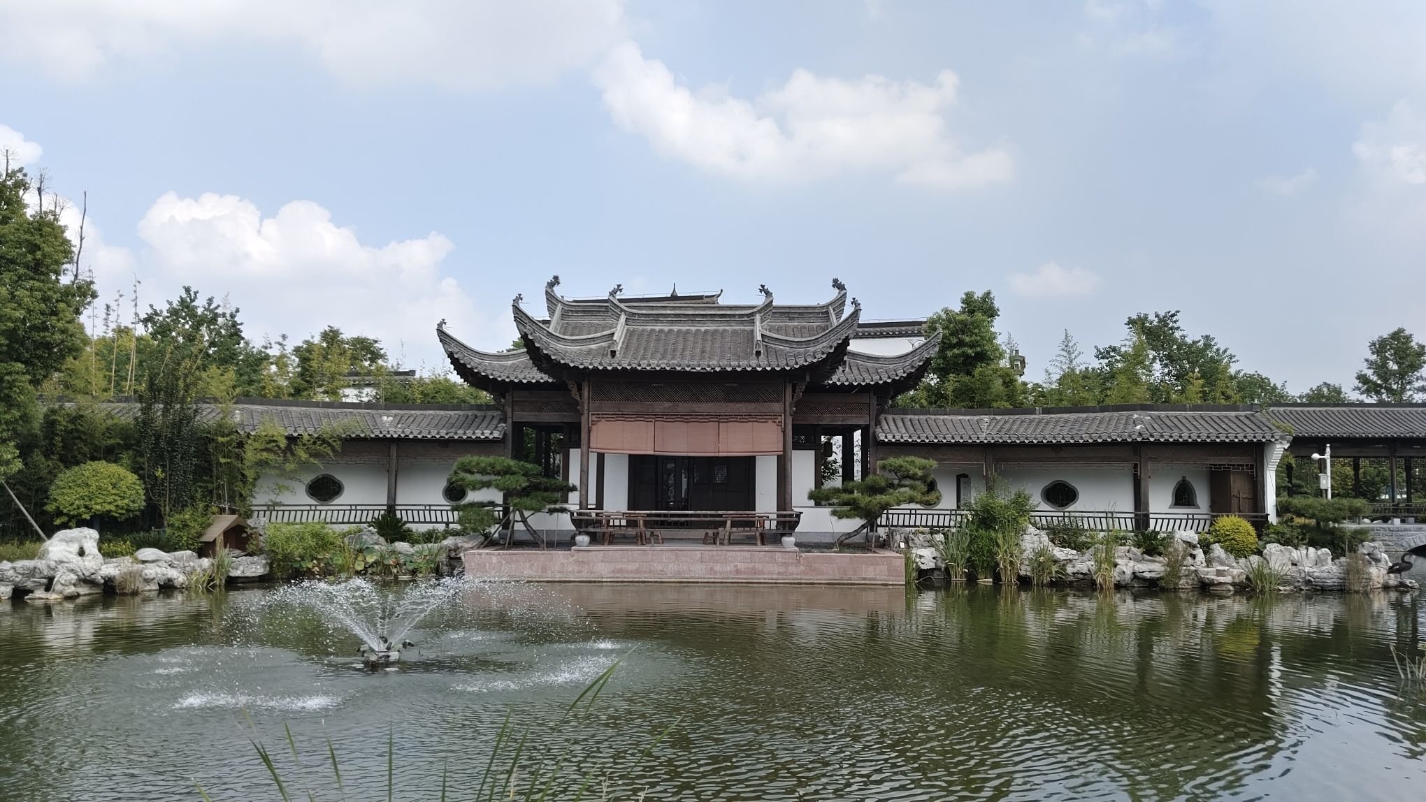 蒙城县森林公园旅行图片 3