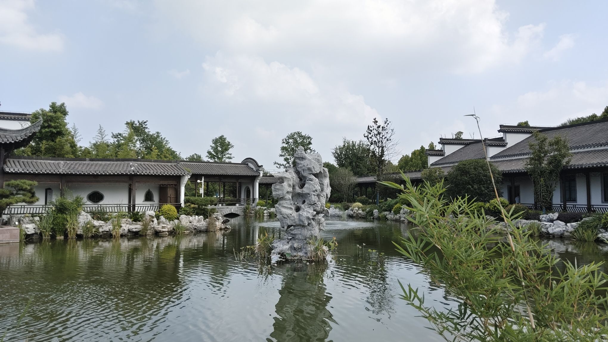 蒙城县森林公园旅行图片 2