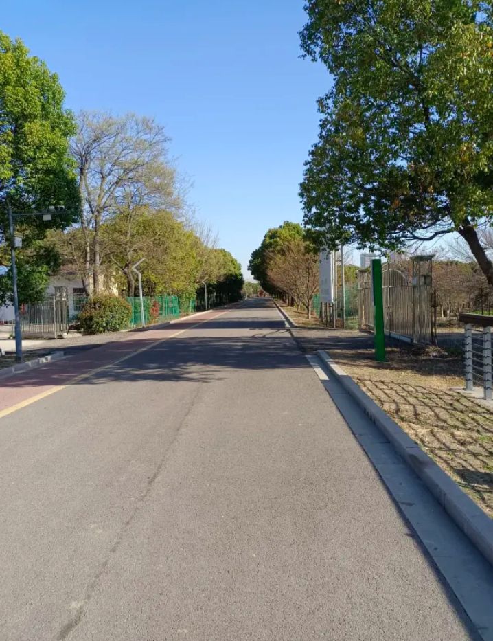 蒙城县森林公园旅行图片 2